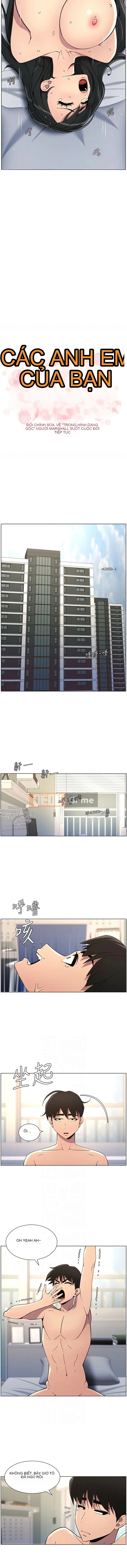 Bài học bí mật của anh chị em Chương 38-39