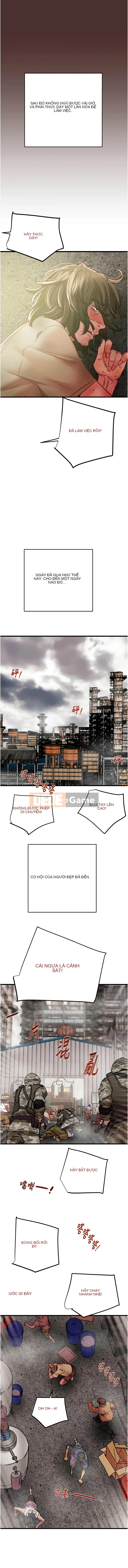 Cướp bóc Chương 37-38