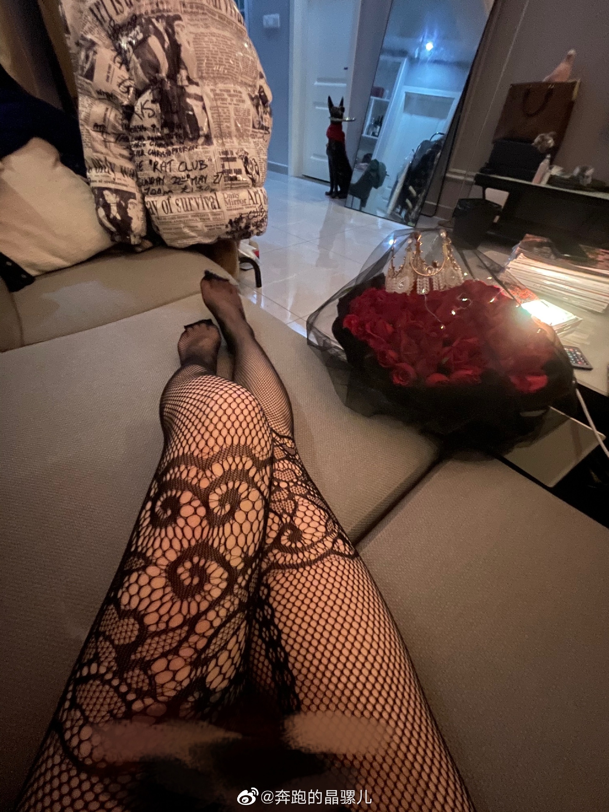 Chạy hình ảnh Weibo của Jingluoer