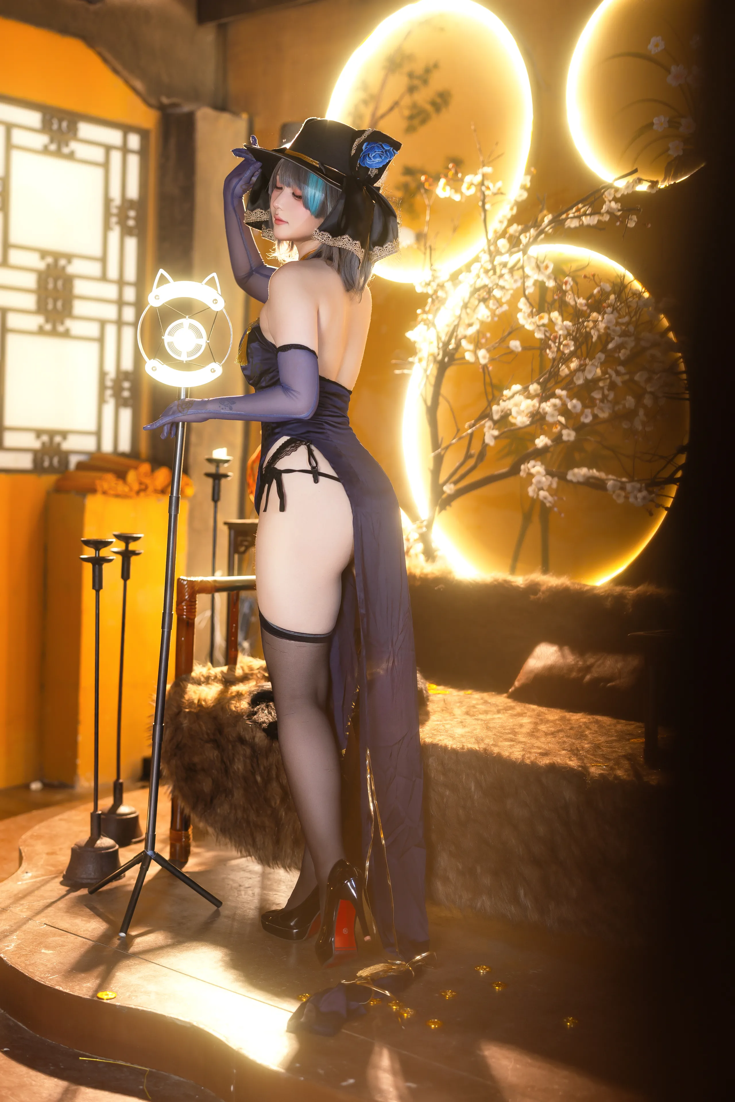 Cá đảo - Đầu mèo vàng