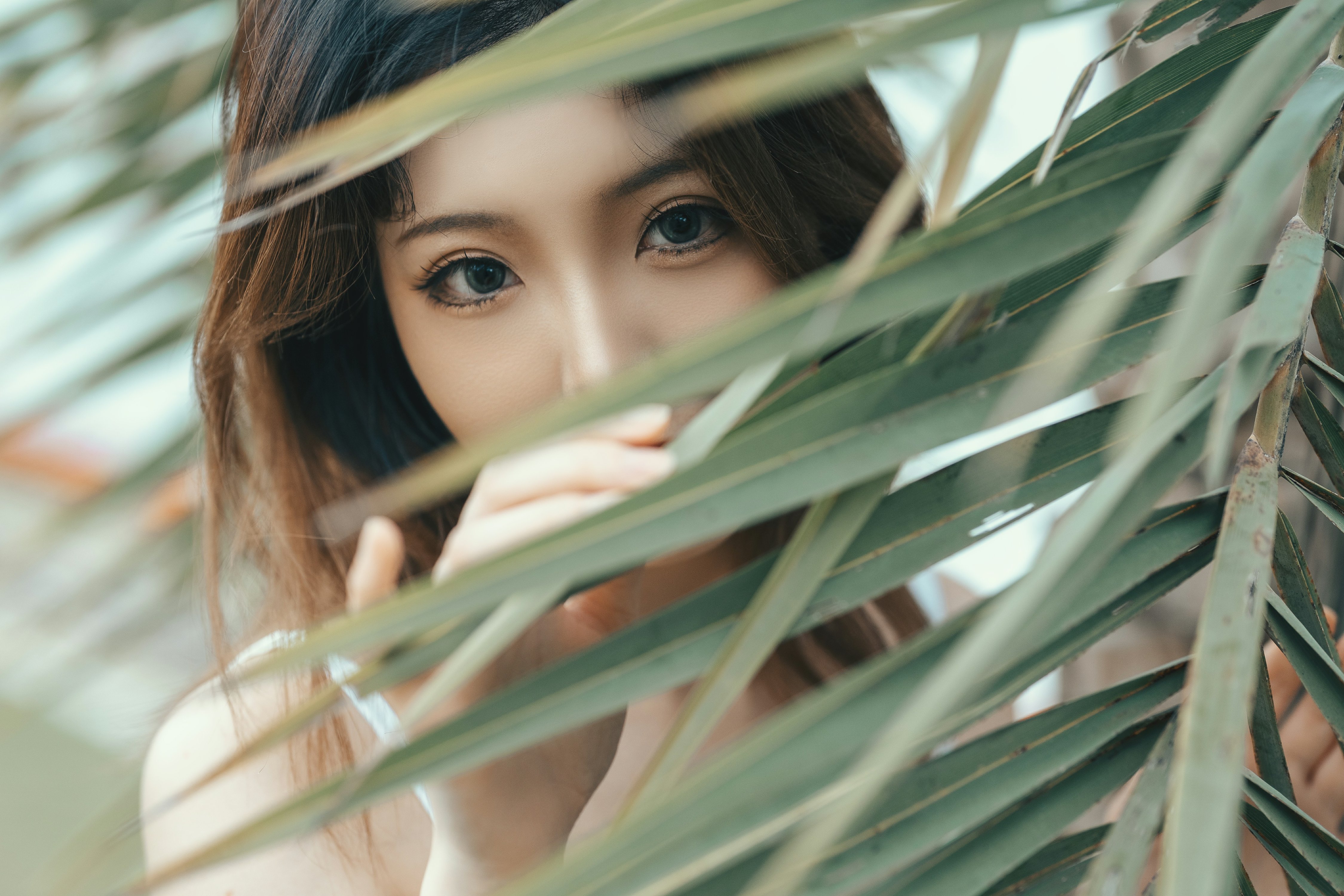Taoliang ah nhà - chạy buổi sáng