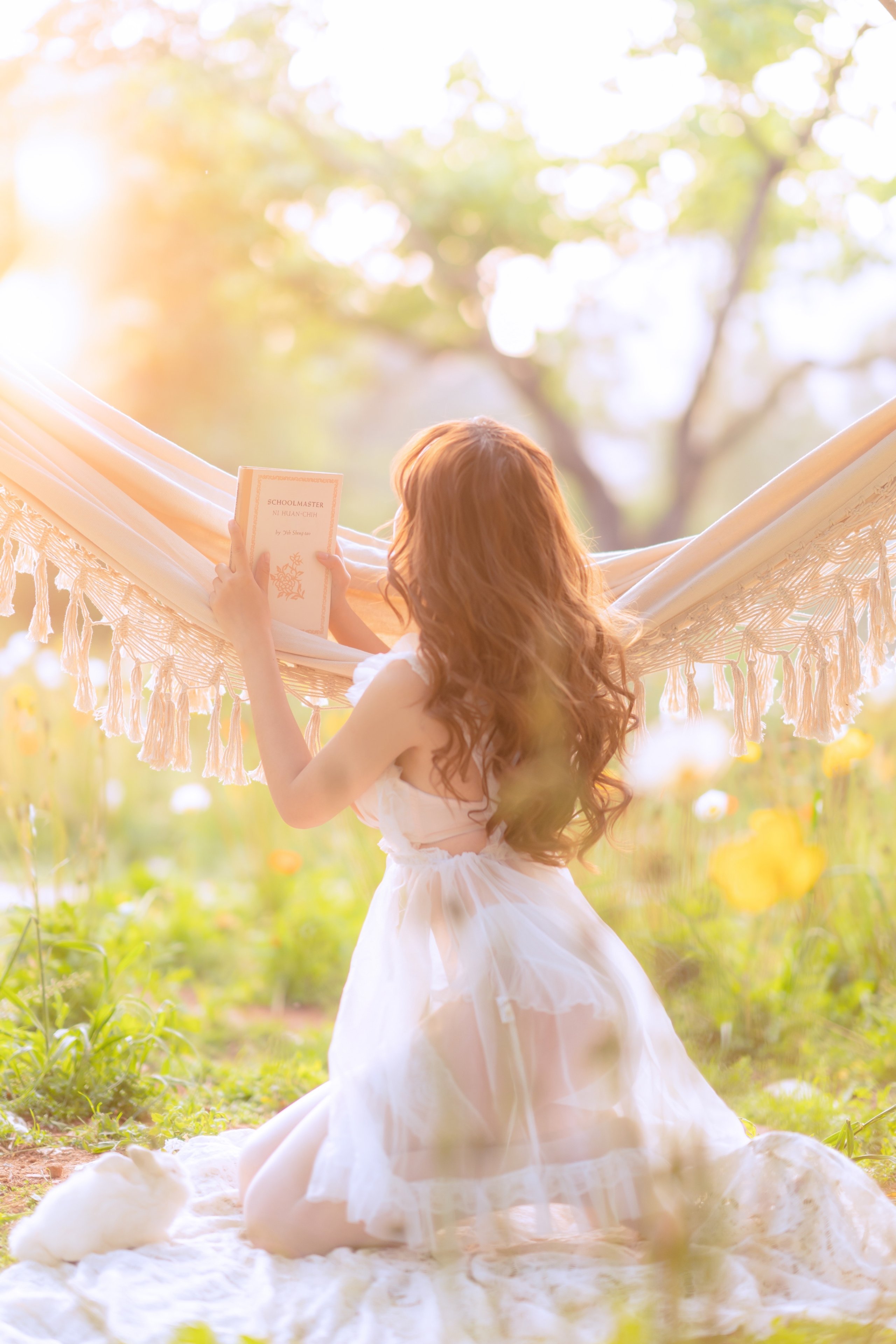 Dòng mì gạo đã hết hạn - võng mùa hè giới hạn