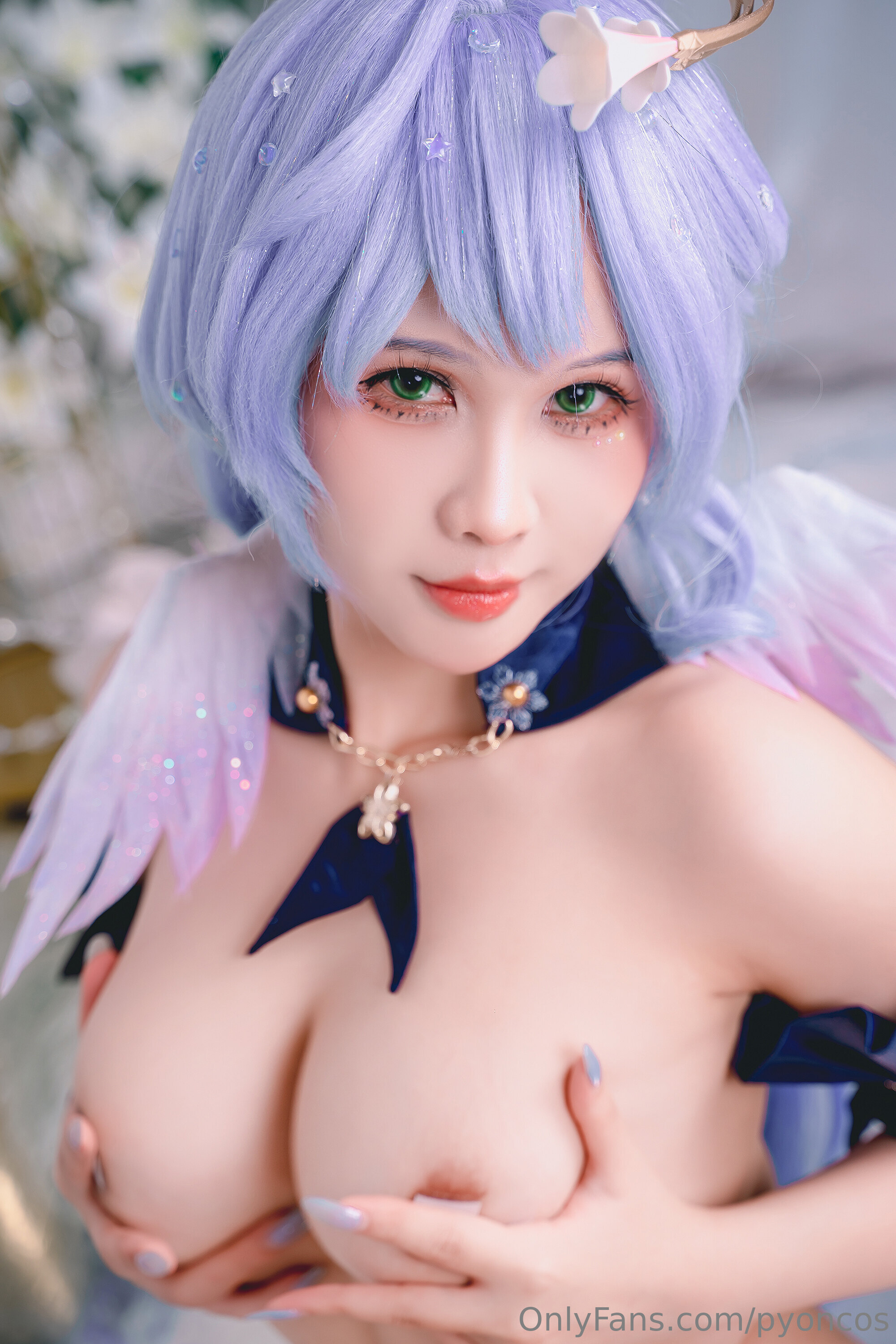 Pyoncos - Robin