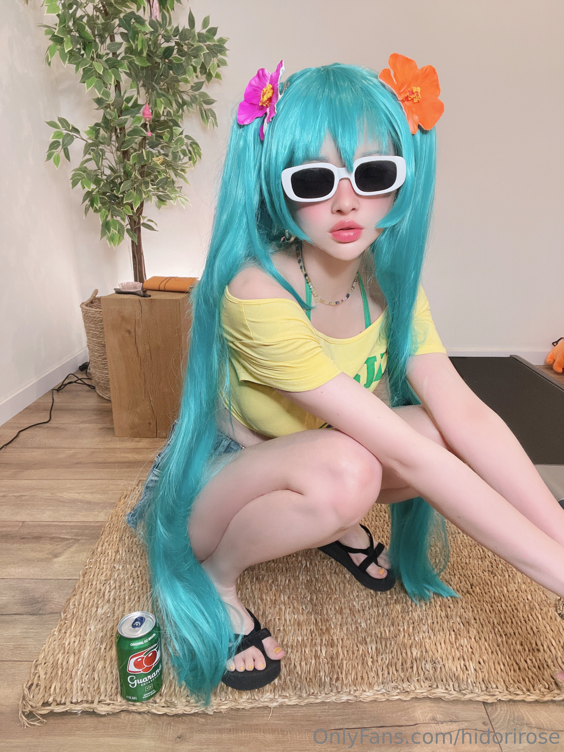 Hidori Rose - Miku Brazil