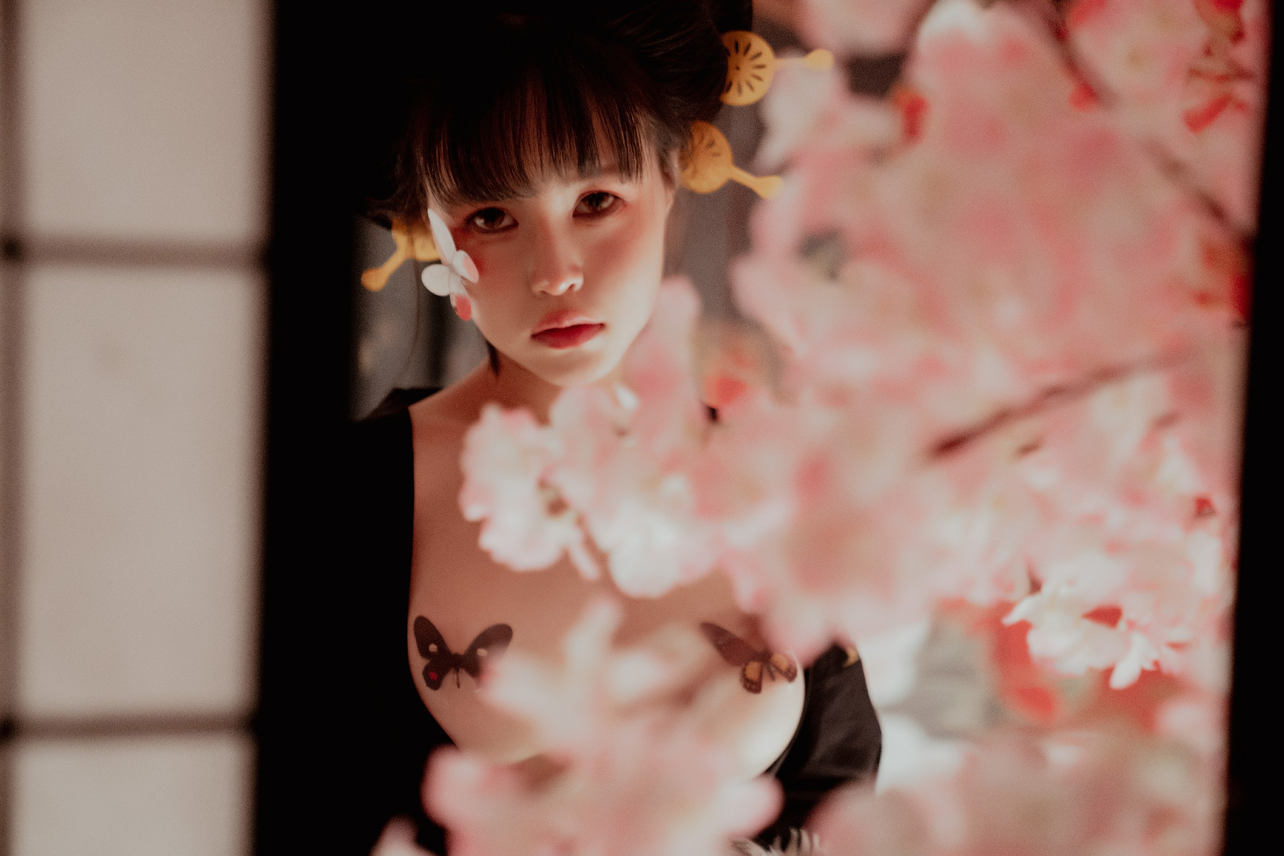 ZZ rực rỡ - Sakura