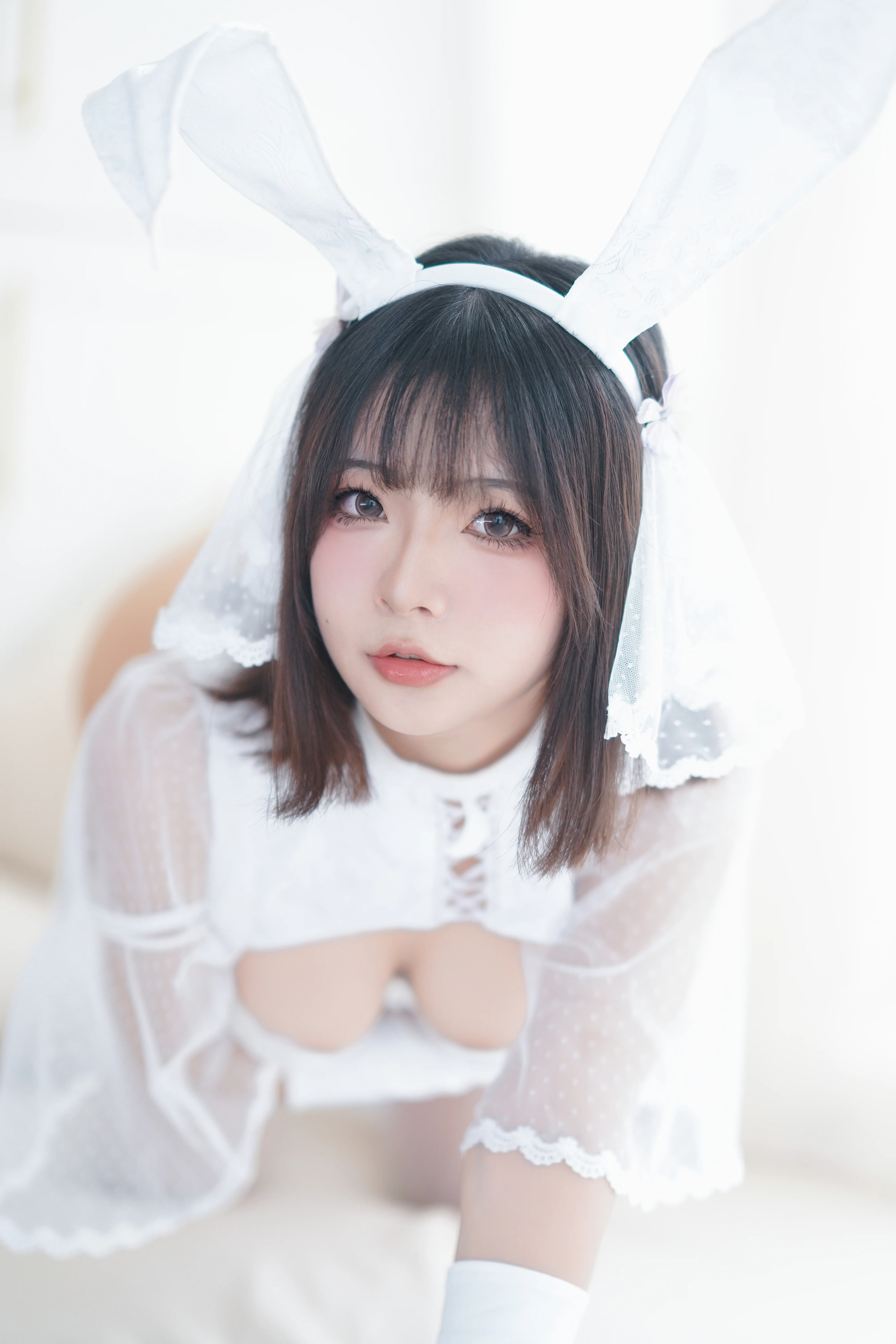 Yuuhui yuhui số 50 con thỏ tuyết