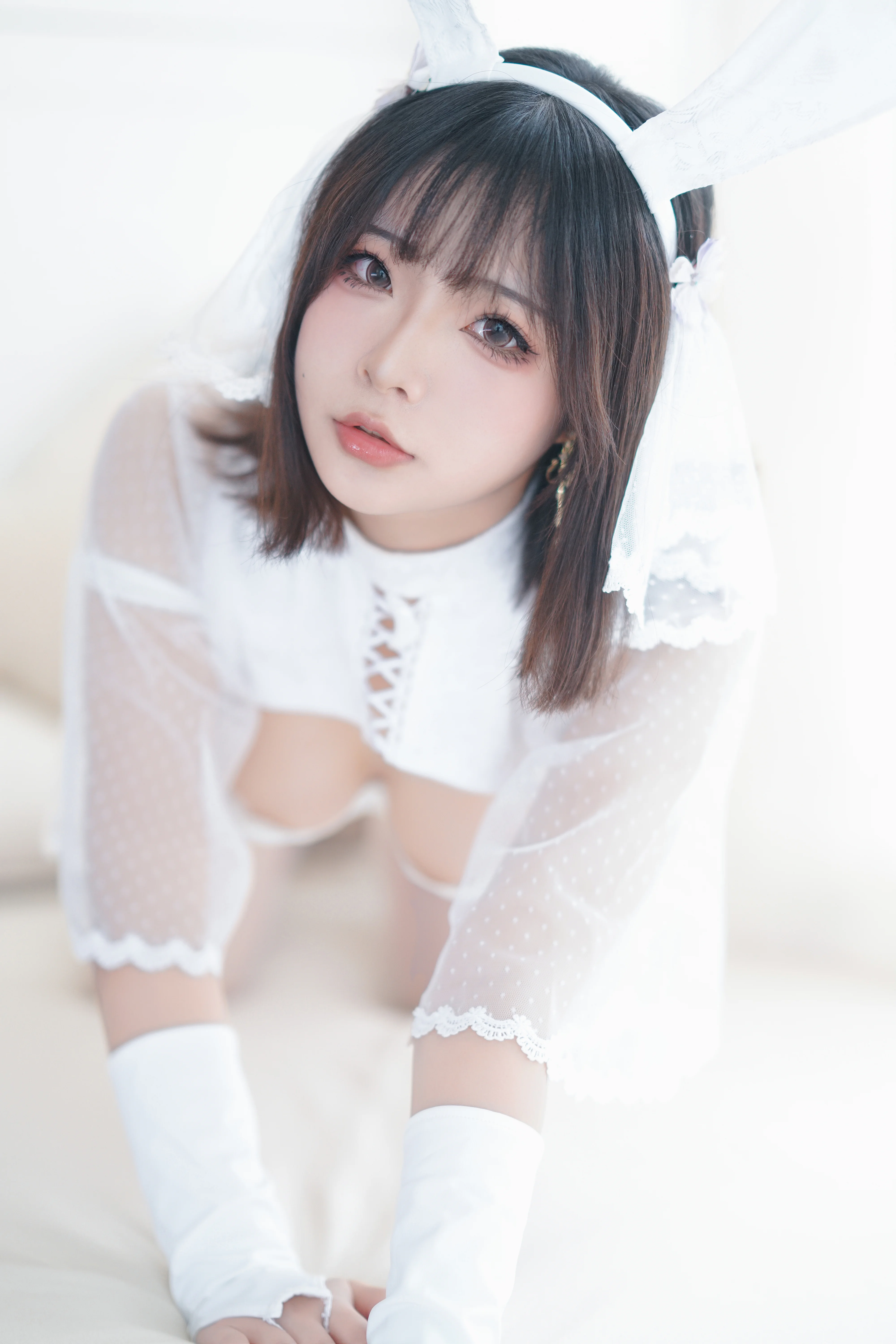 Yuuhui yuhui số 50 con thỏ tuyết