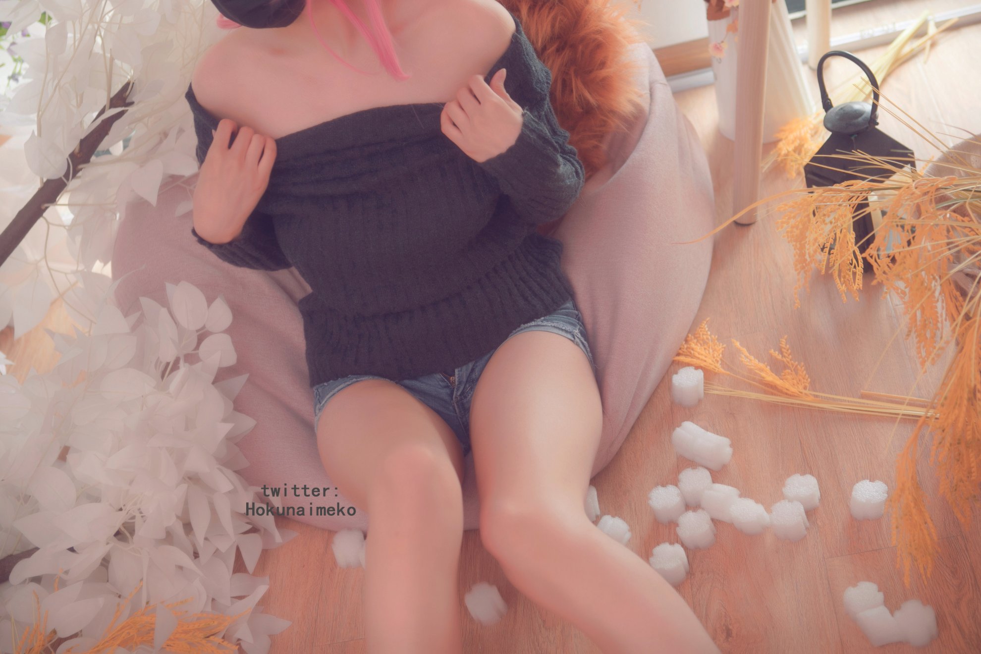 [Hokunaimeko] Quần áo thường xuyên của Tamamo
