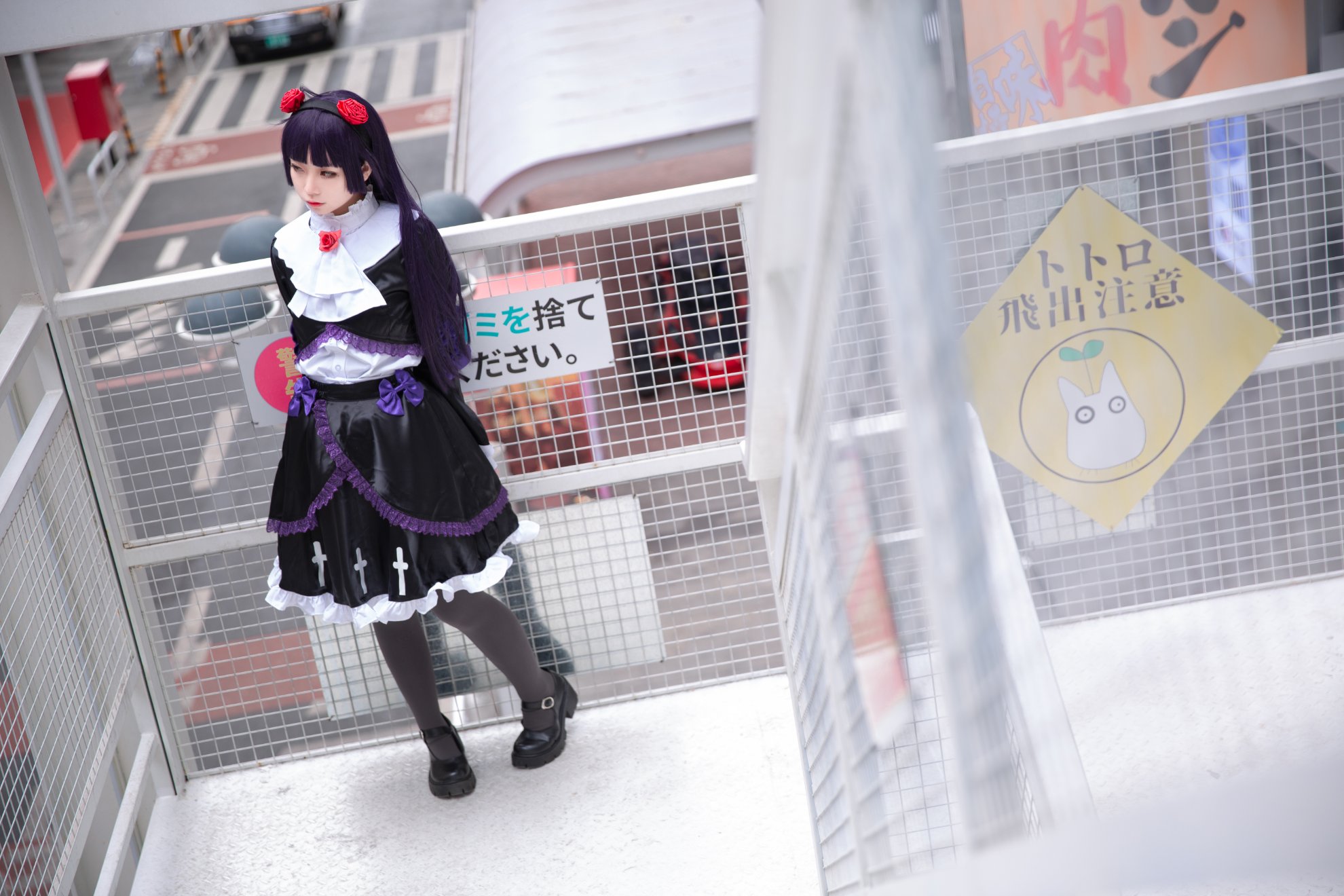 G44 sẽ không bị tổn thương số 023 con mèo đen