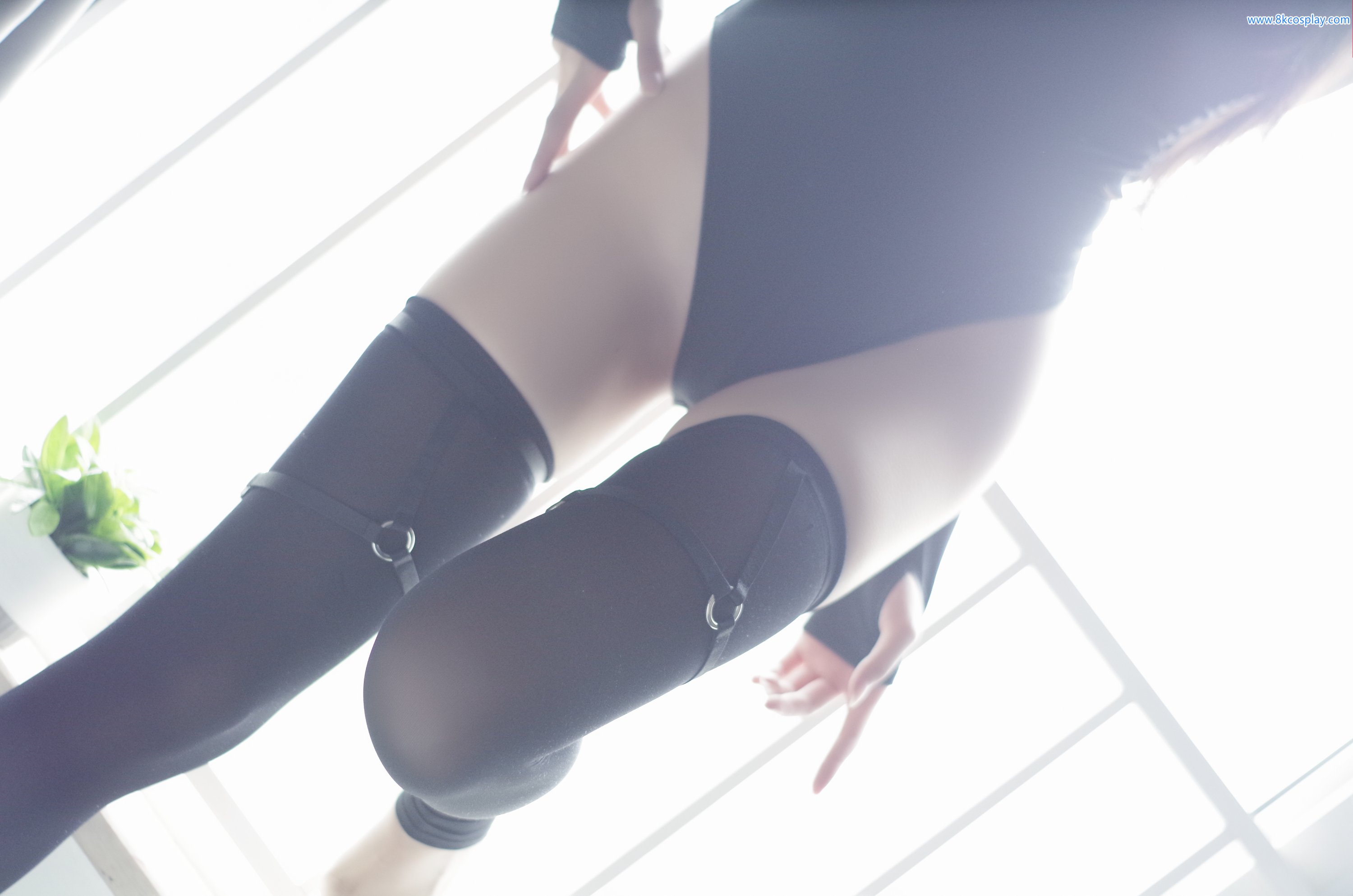 Xiaomei ma số 008 Qiu Black Stocking