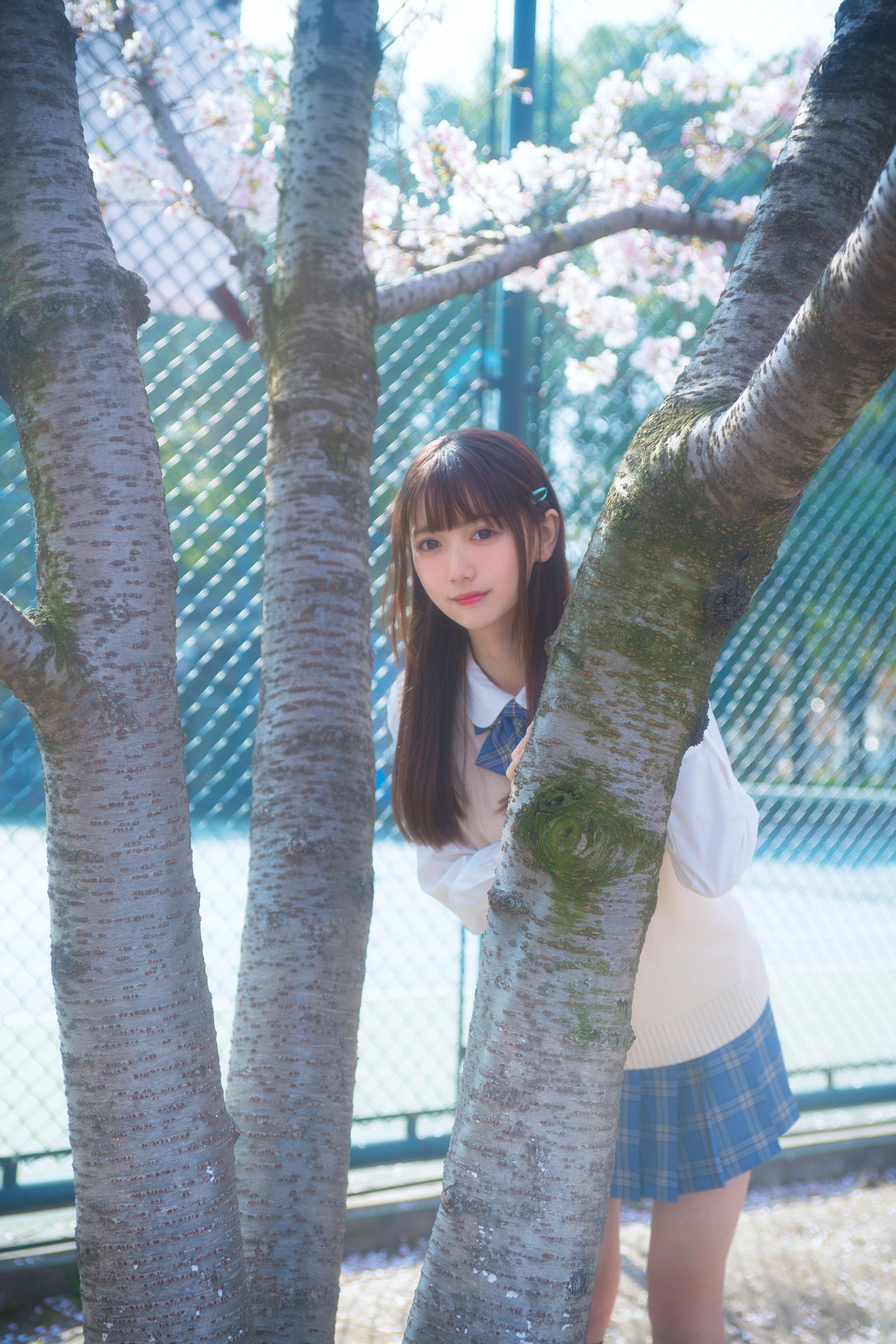 Lu Qing Khánh-Sakura và JK