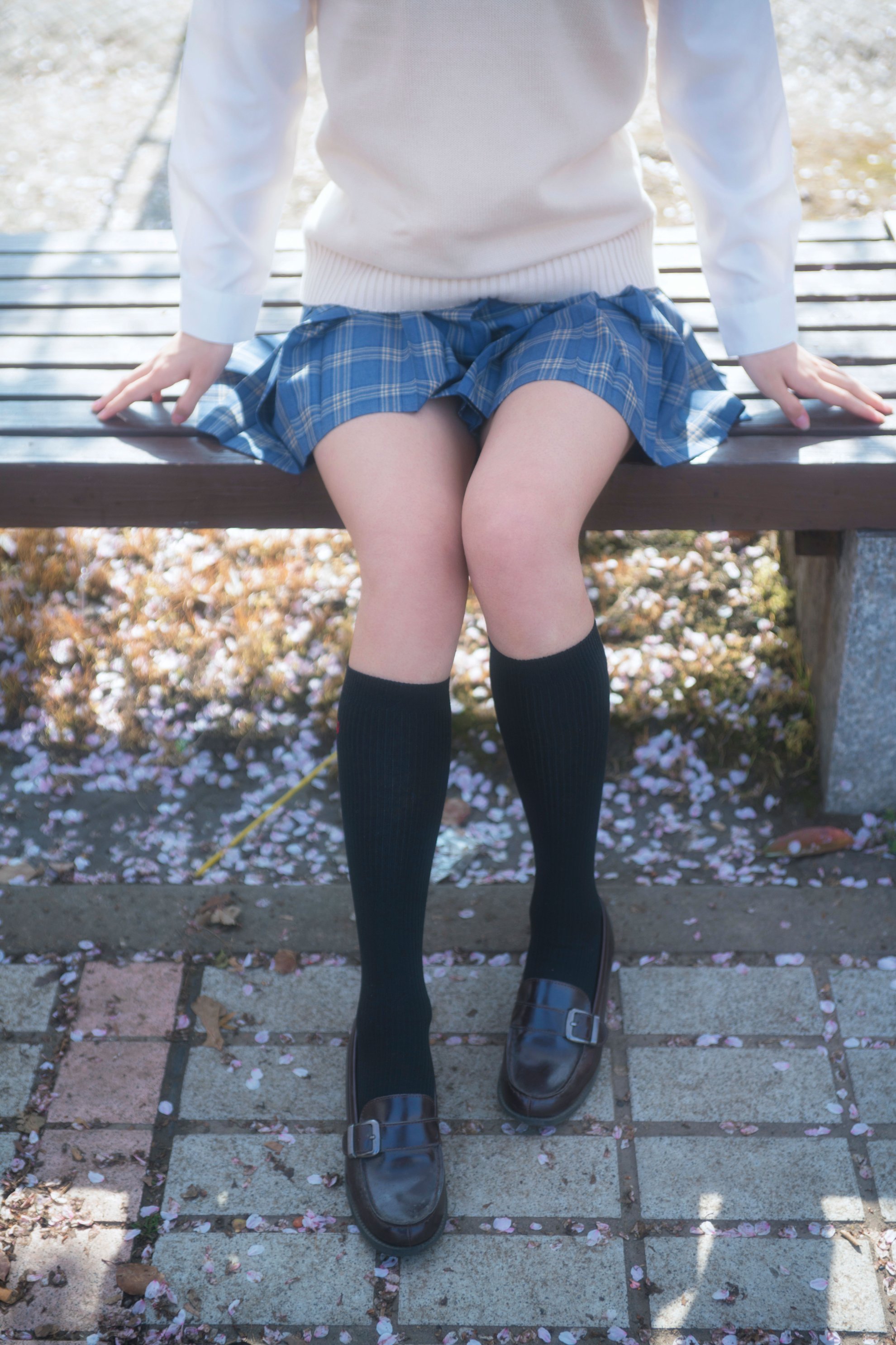 Lu Qing Khánh-Sakura và JK