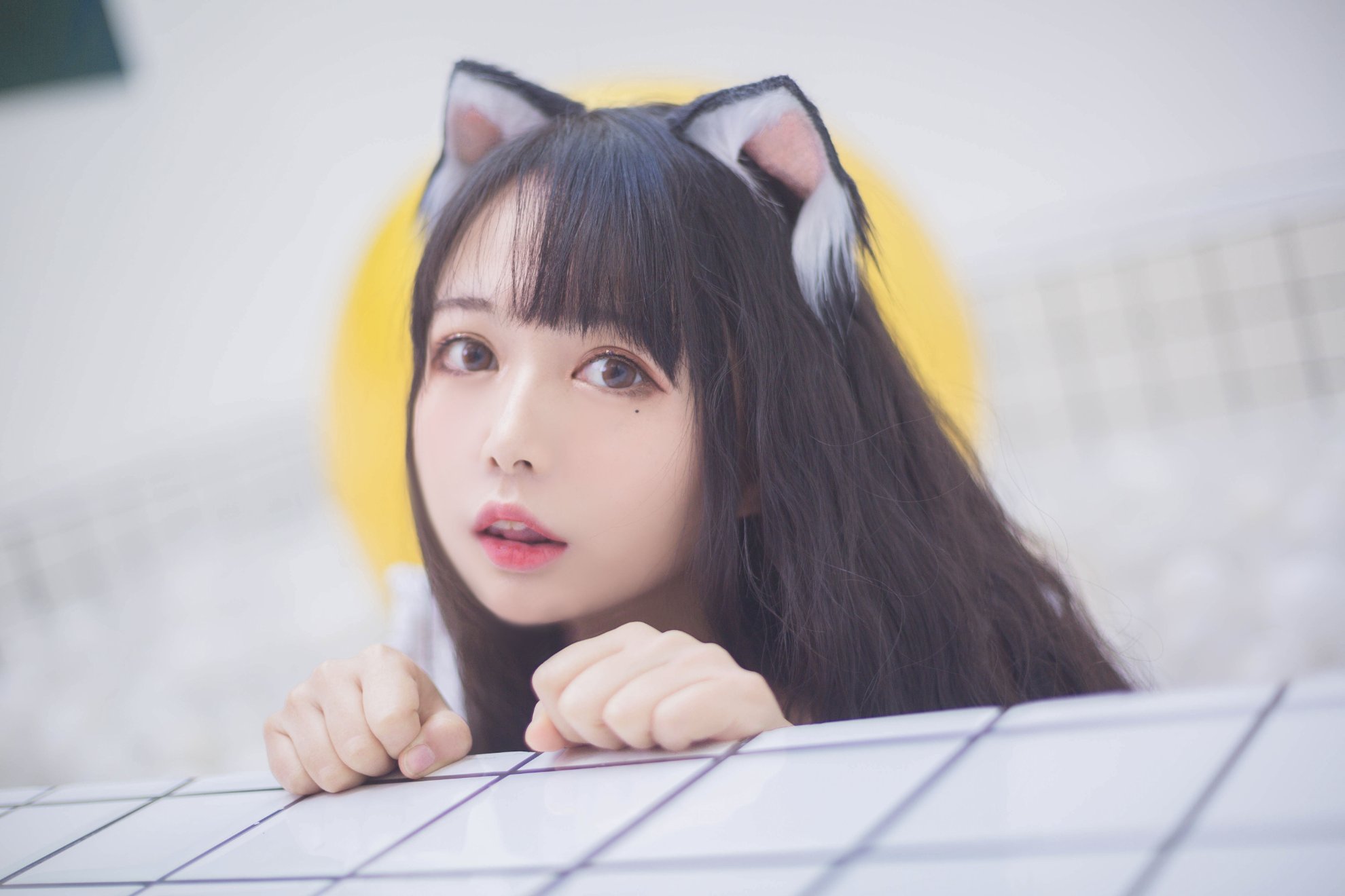 Black Cat Ovo - Đại dương bóng Meow