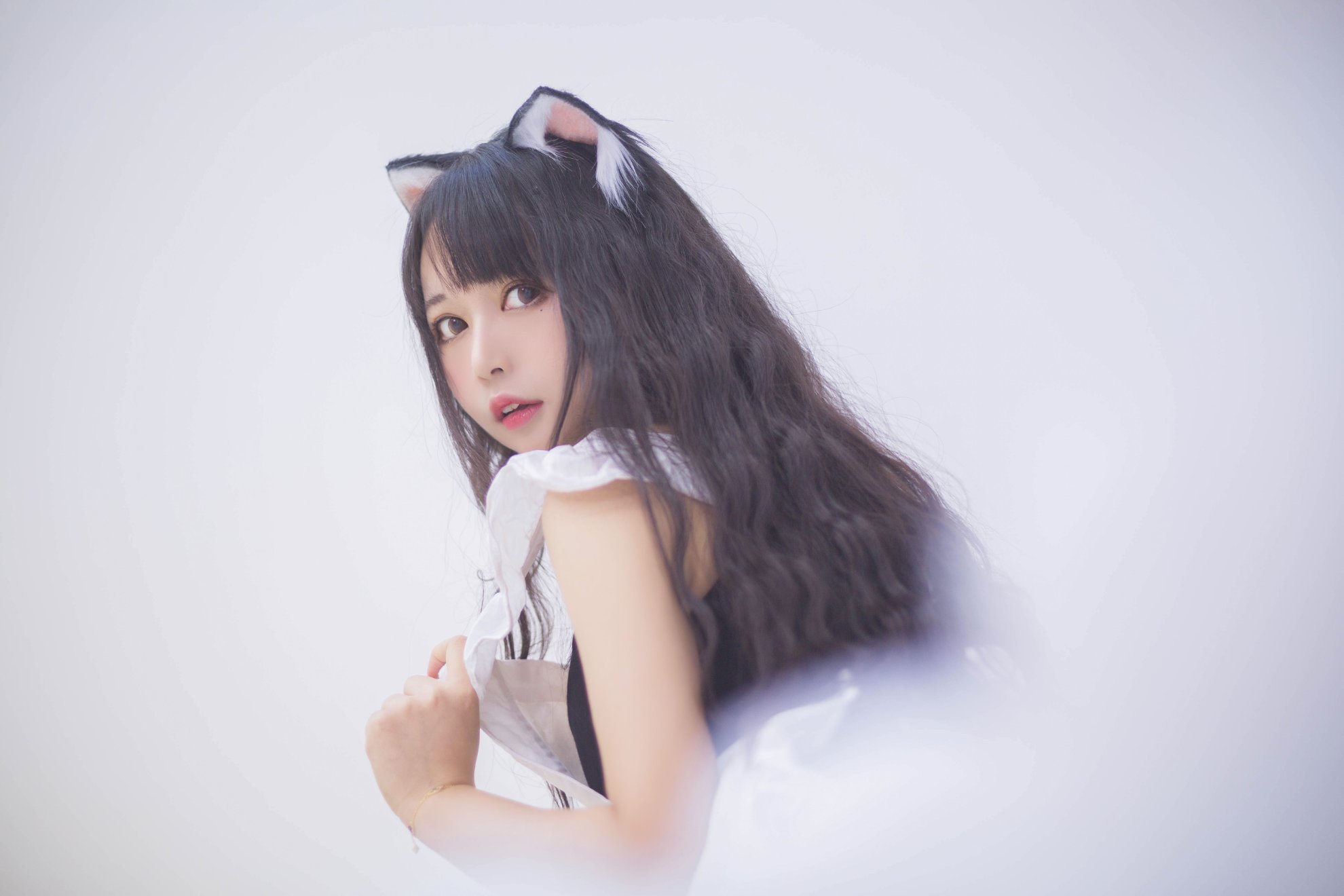 Black Cat Ovo - Đại dương bóng Meow