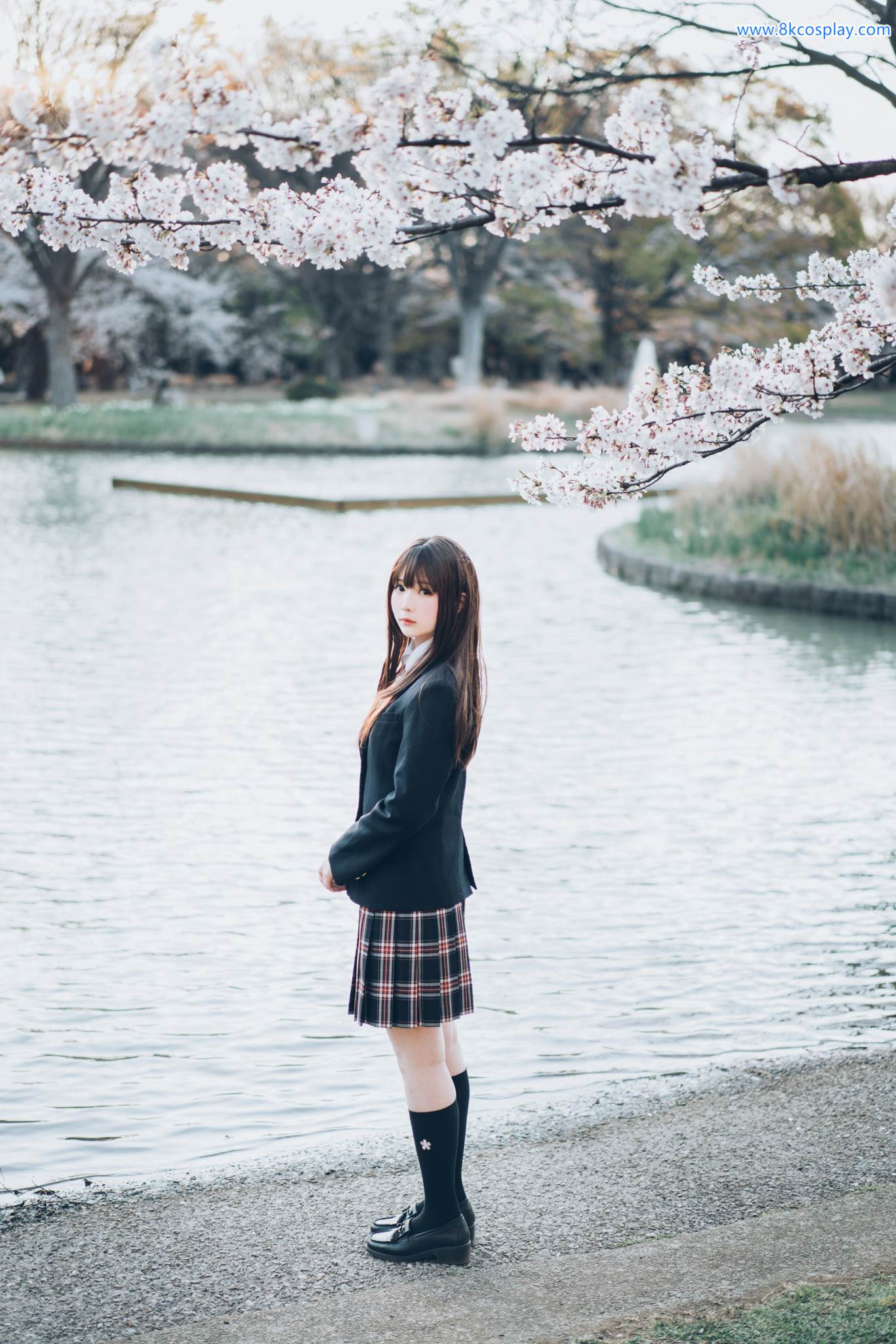 Shimo Shimotsuki Mùa xuân