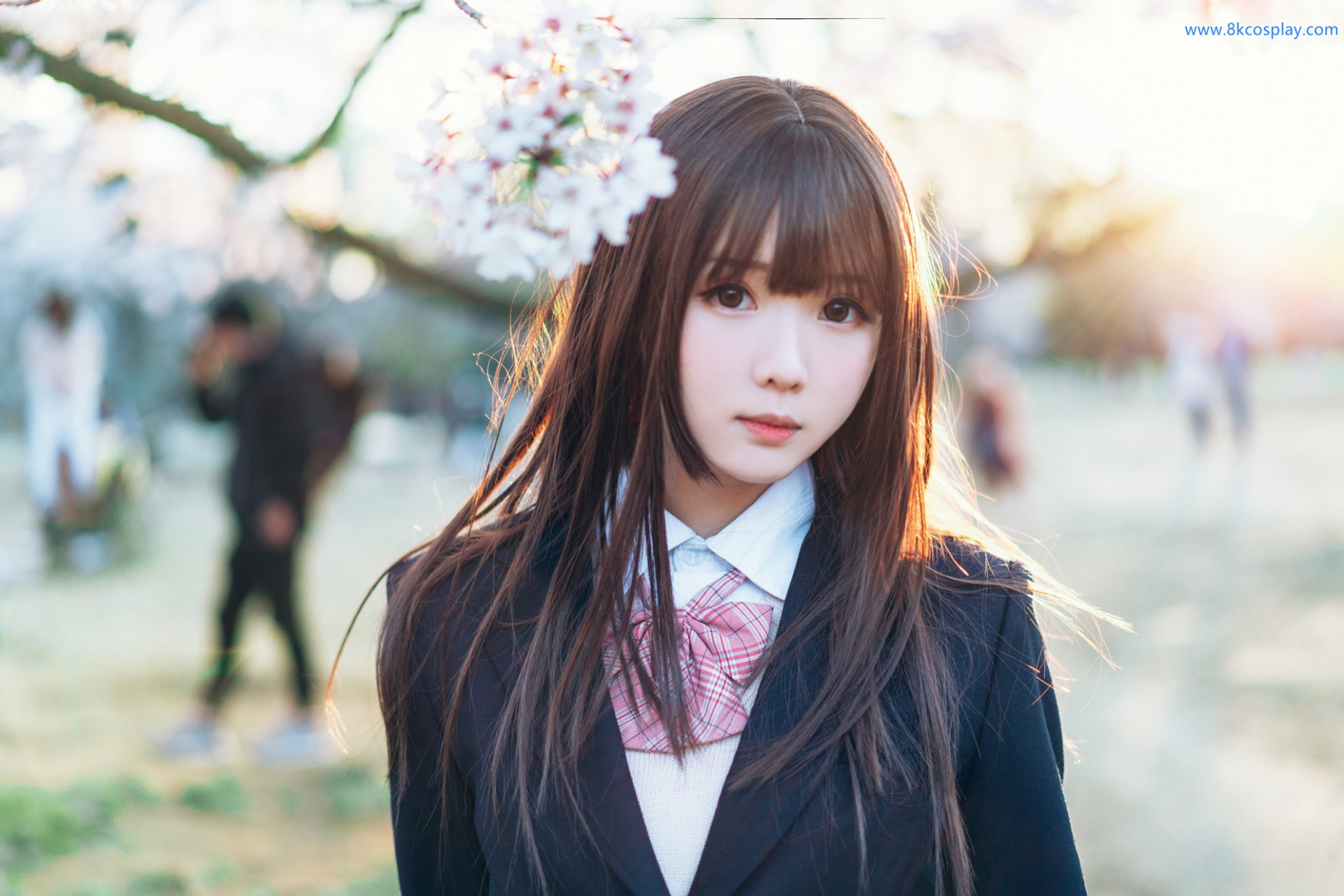 Shimo Shimotsuki Mùa xuân