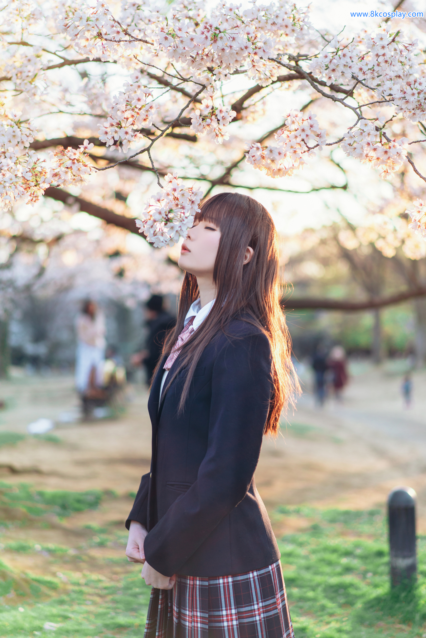 Shimo Shimotsuki Mùa xuân