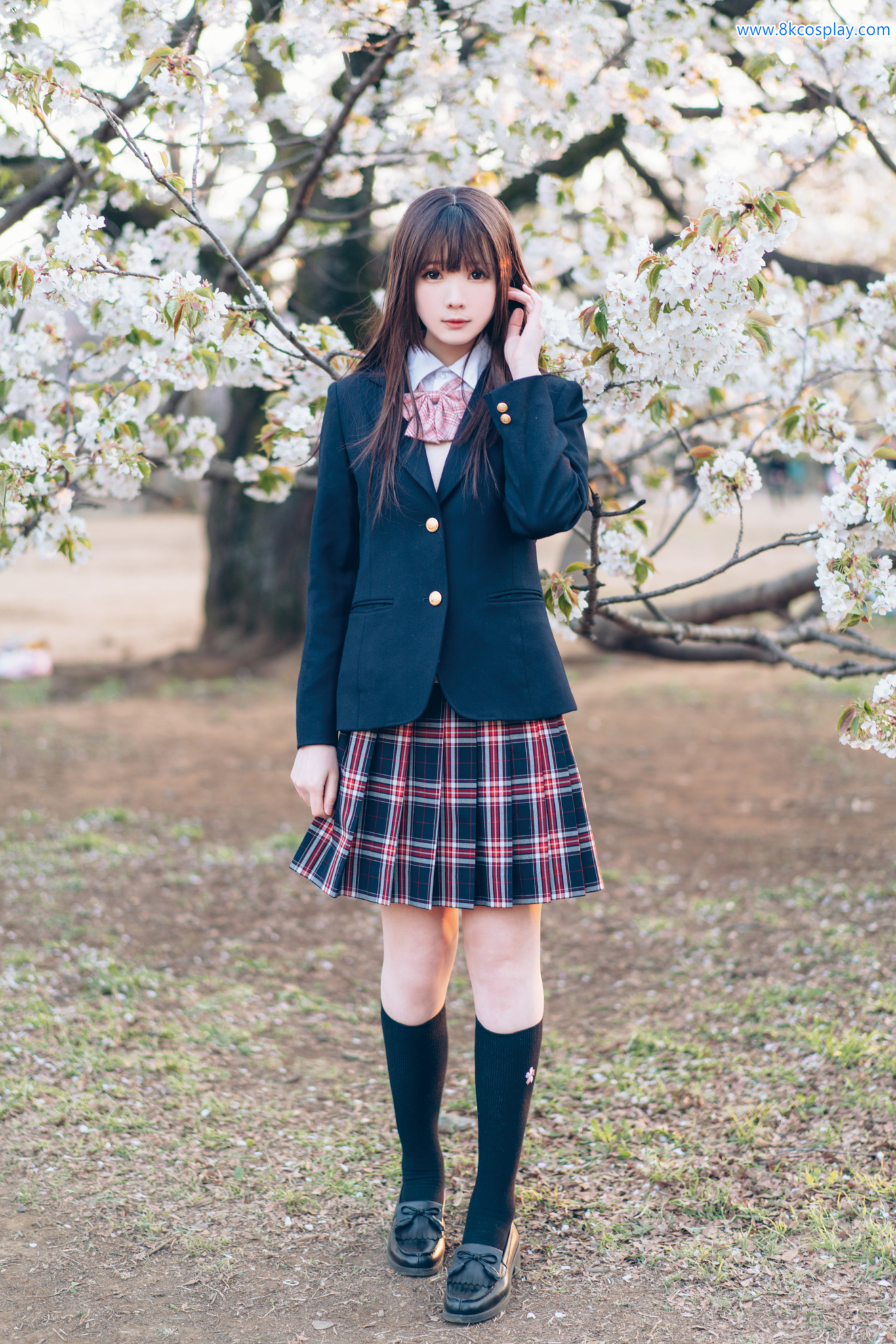 Shimo Shimotsuki Mùa xuân