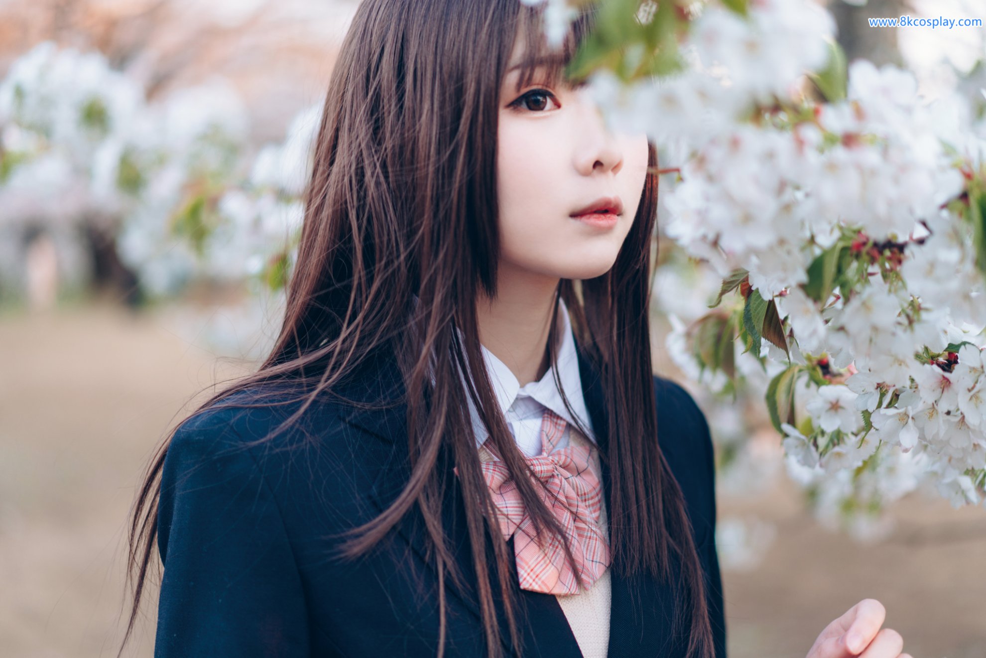 Shimo Shimotsuki Mùa xuân