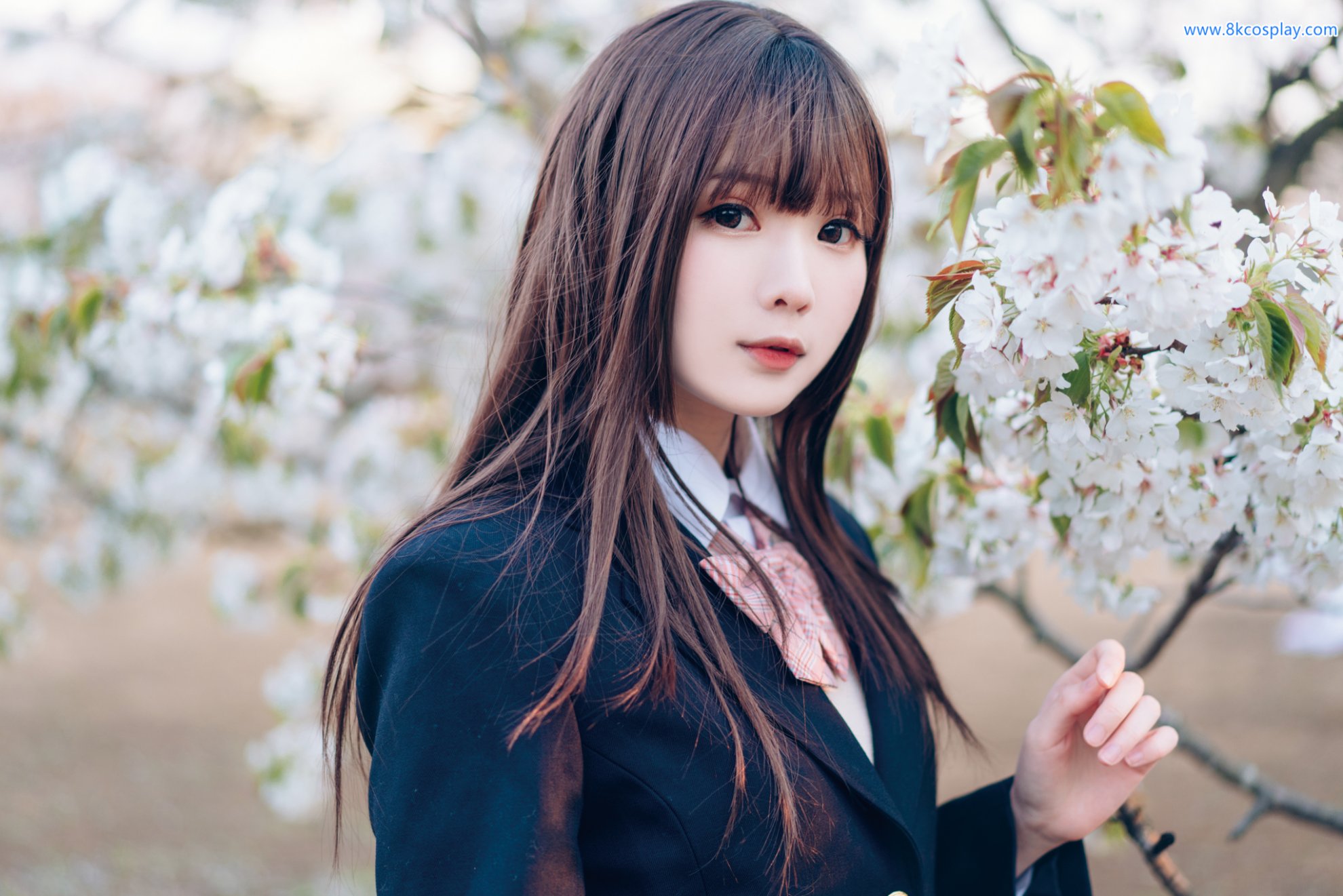 Shimo Shimotsuki Mùa xuân