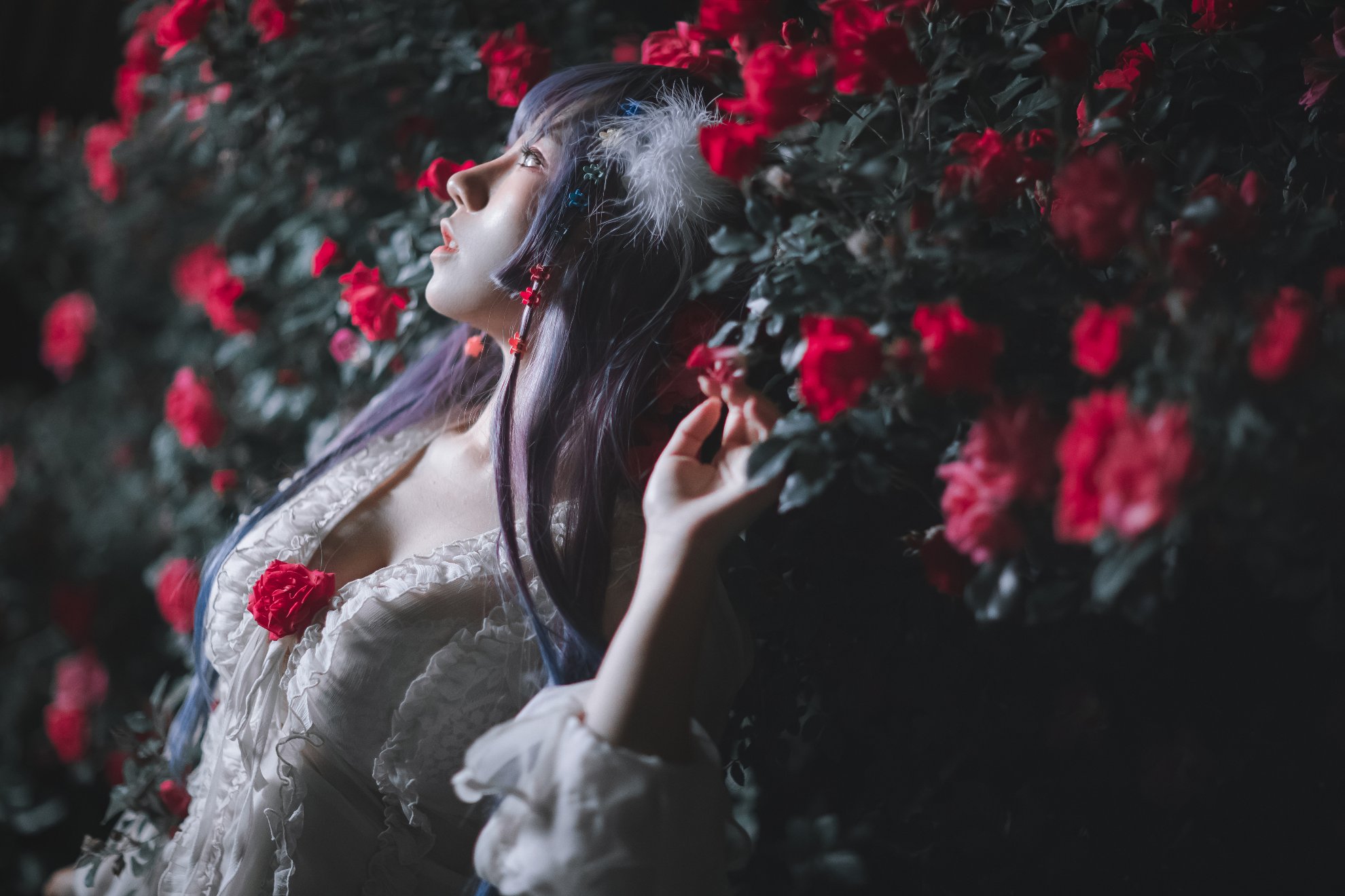 Từ Cong Cong Luan - VIP1+2