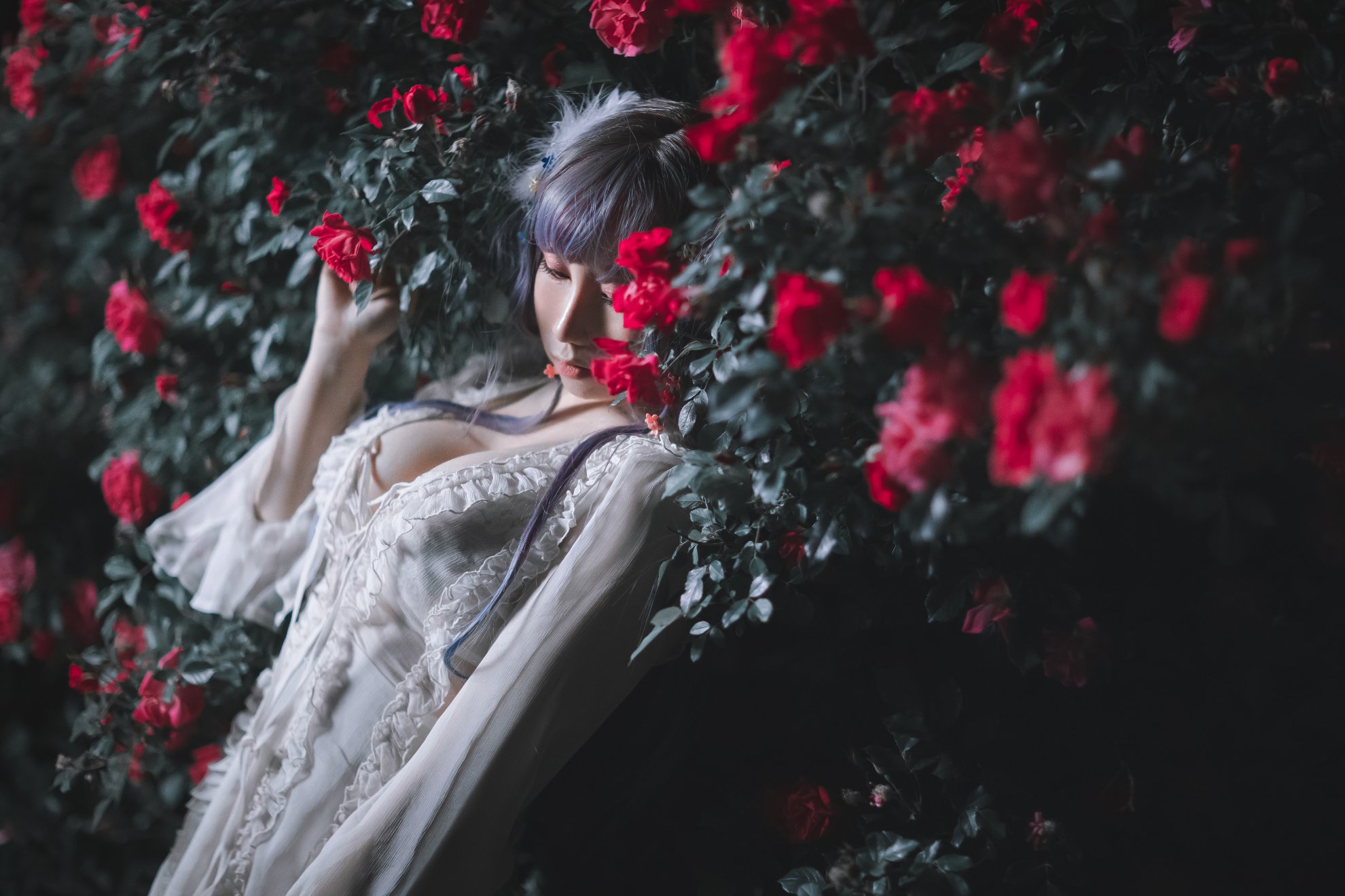 Từ Cong Cong Luan - VIP1+2