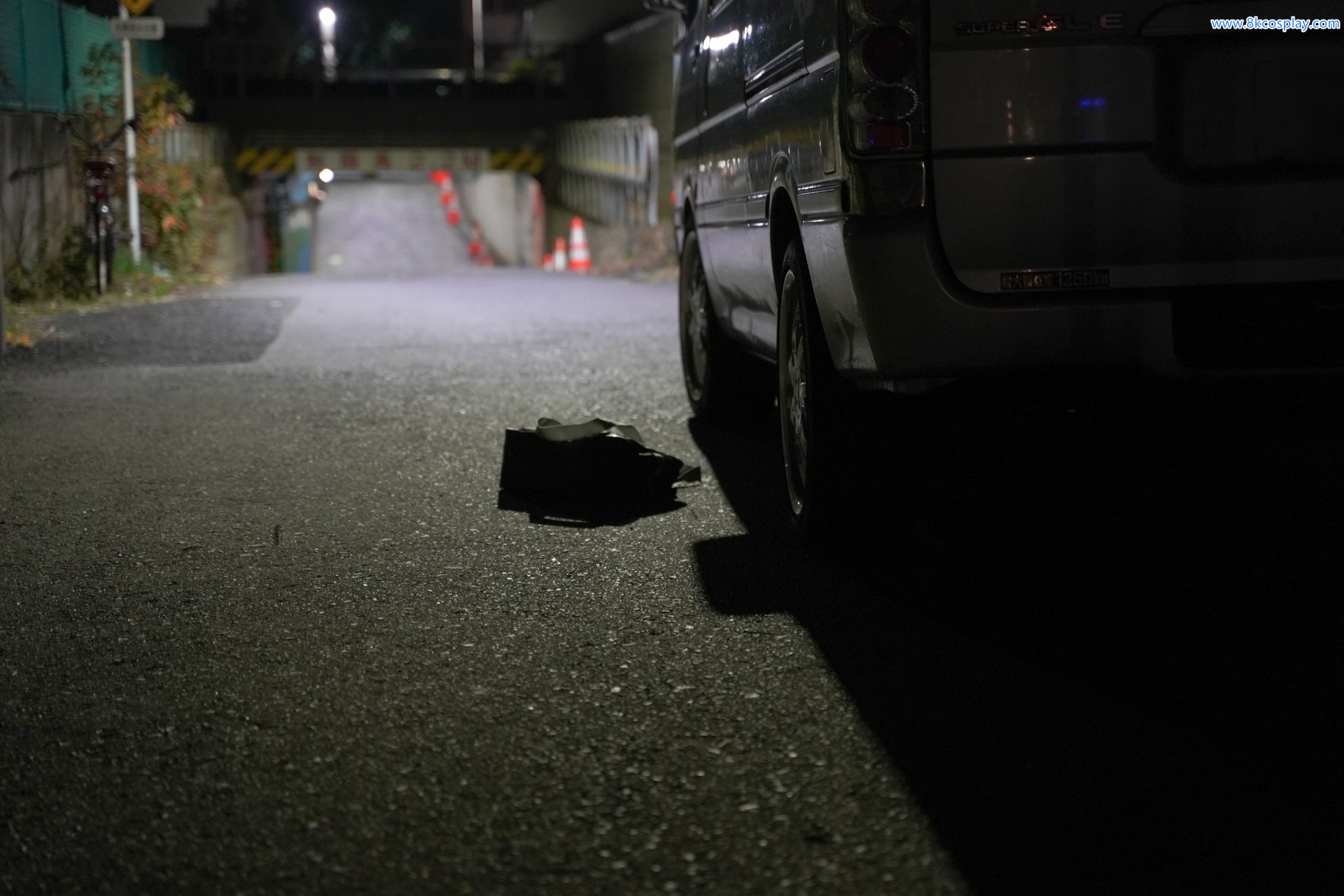 Bữa tiệc đóng góp của Yuuki -chan (Yuki) - Hồ sơ về vụ án bắt cóc của một cô gái