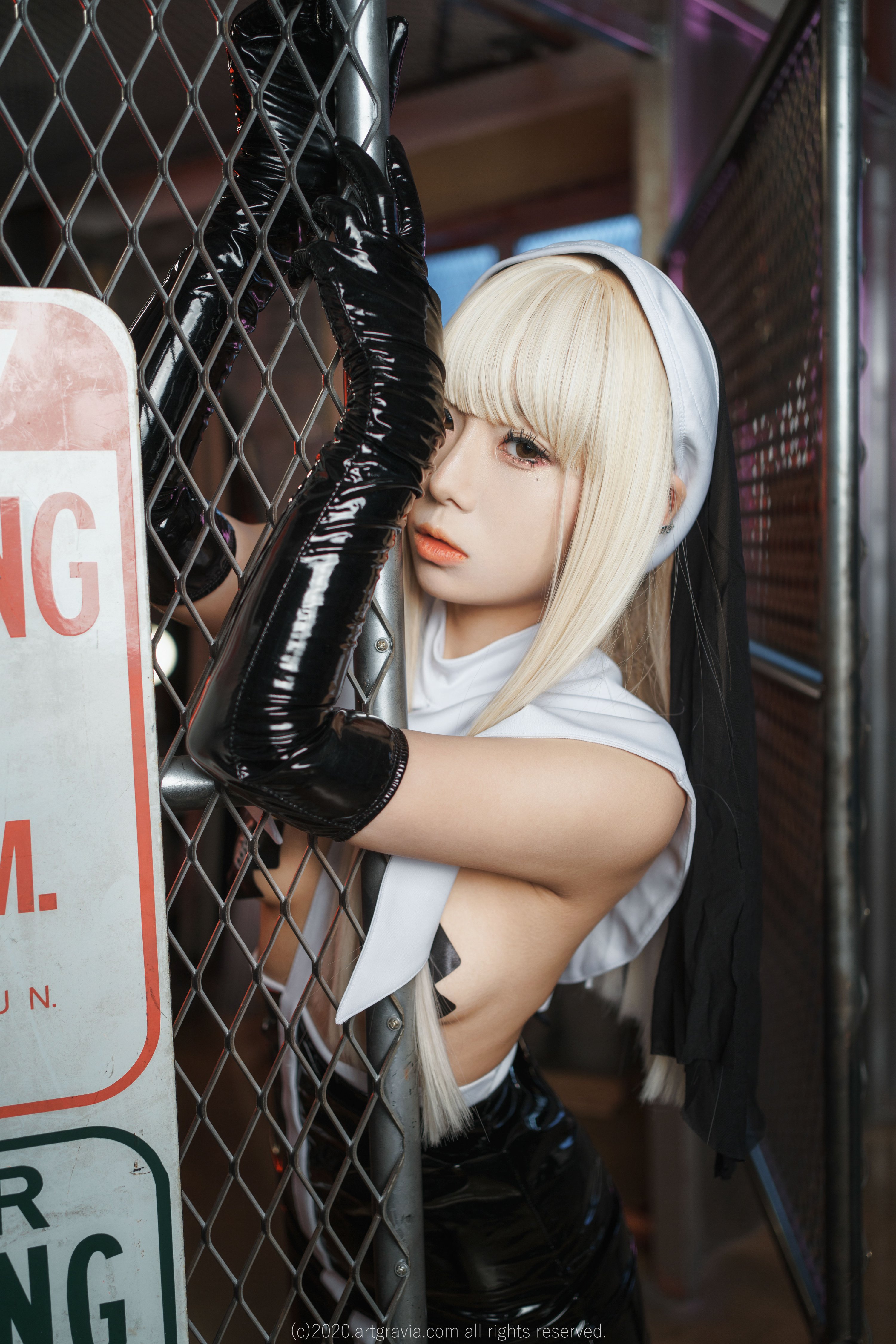 Artgravia vol.225 Maruemon