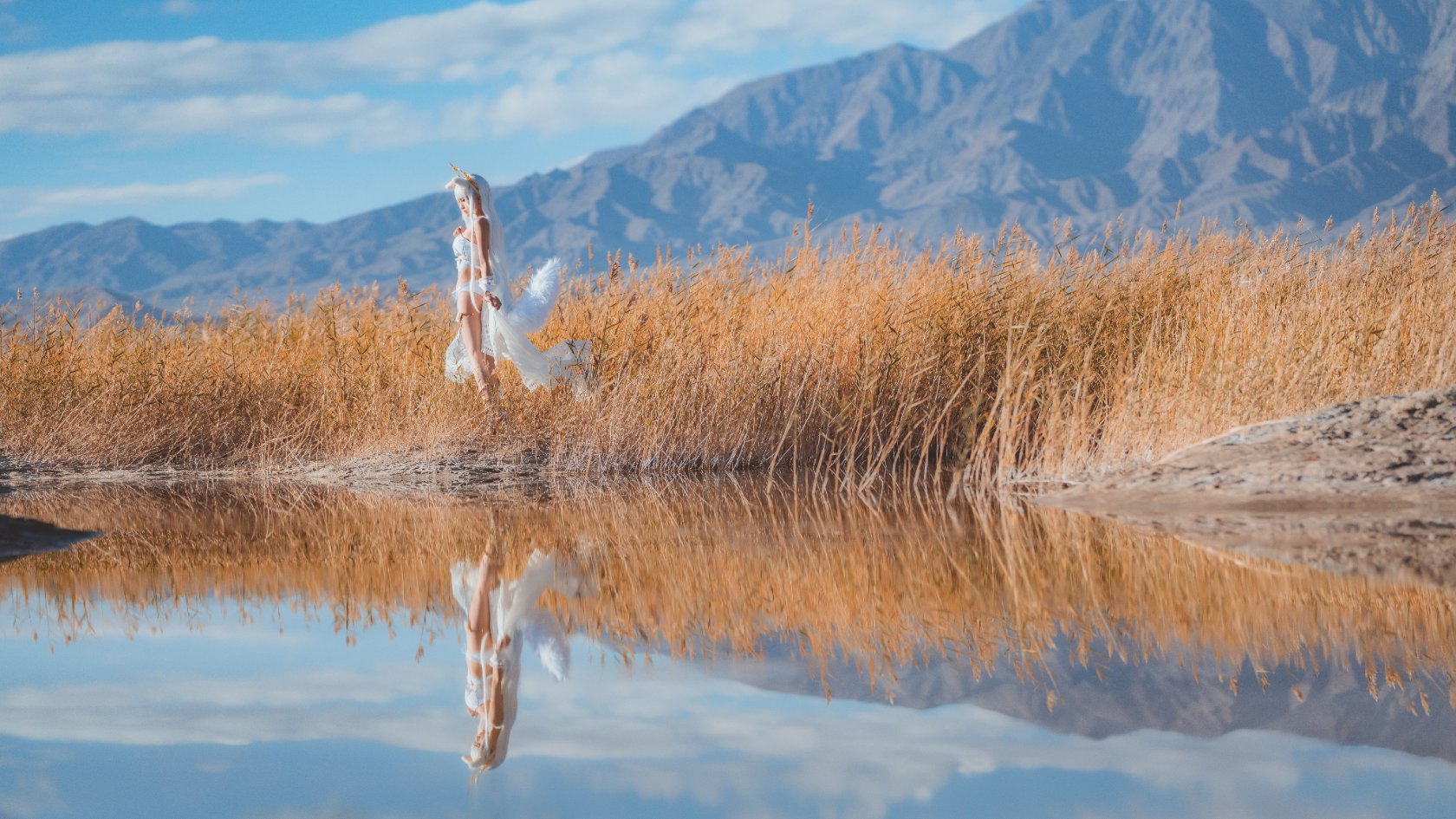 Peach Meow - Ark of Tomorrow Platinum [Cantong Sun DW DEW SD05]