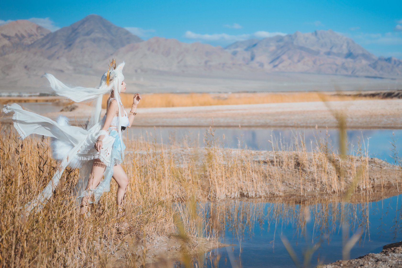 Peach Meow - Ark of Tomorrow Platinum [Cantong Sun DW DEW SD05]