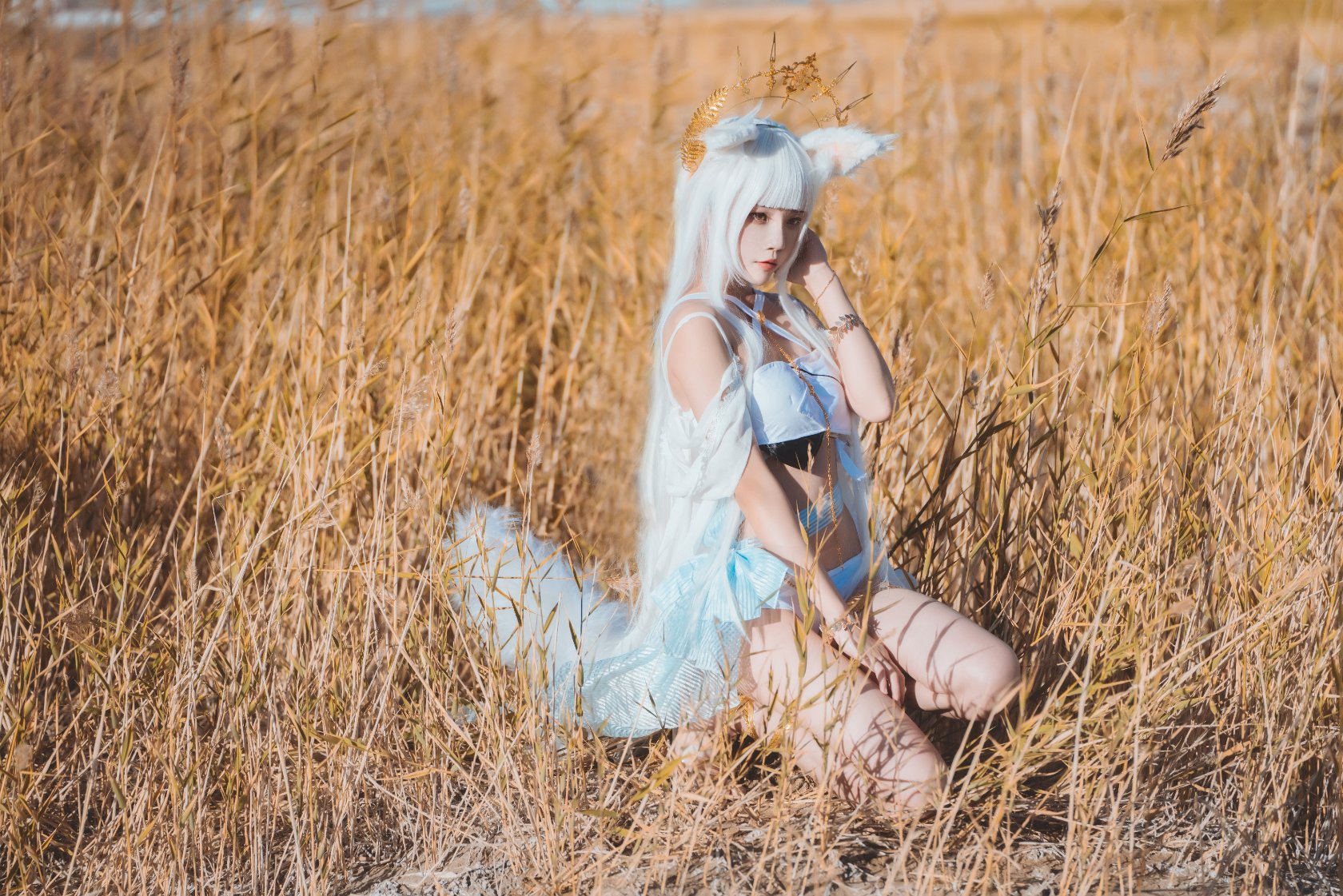 Peach Meow - Ark of Tomorrow Platinum [Cantong Sun DW DEW SD05]