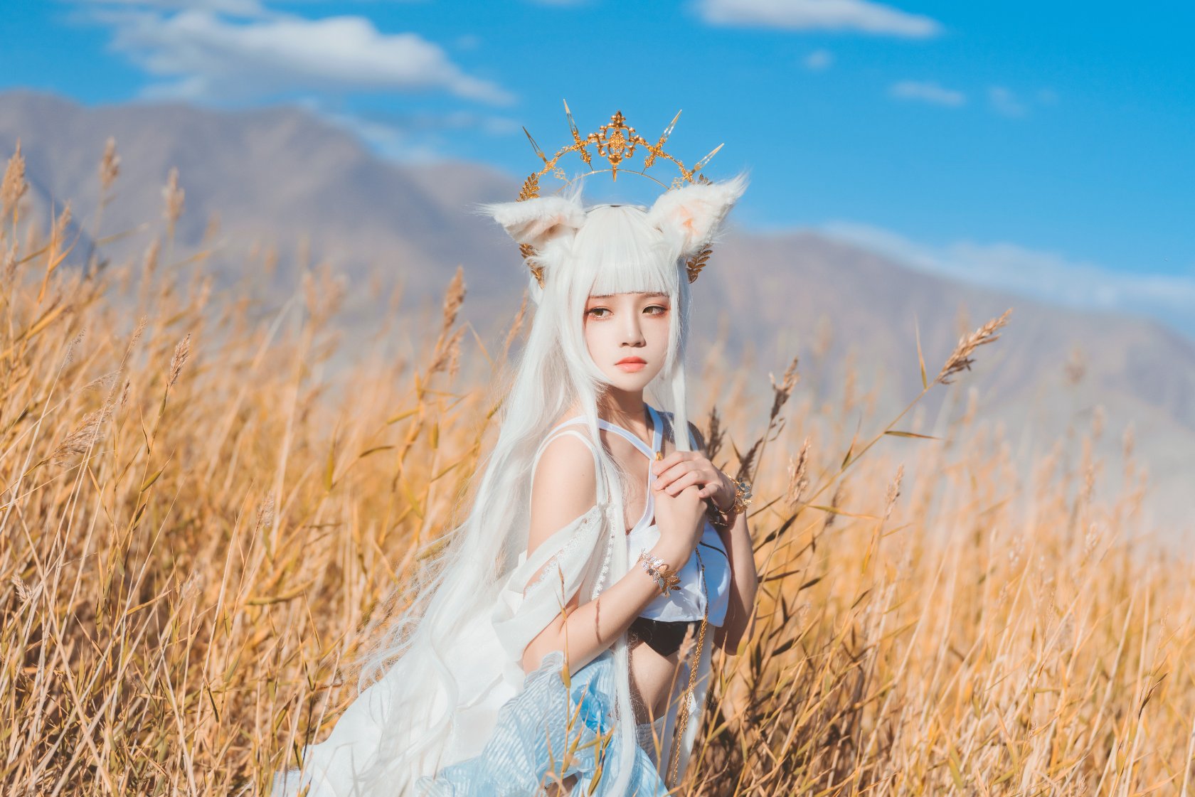 Peach Meow - Ark of Tomorrow Platinum [Cantong Sun DW DEW SD05]