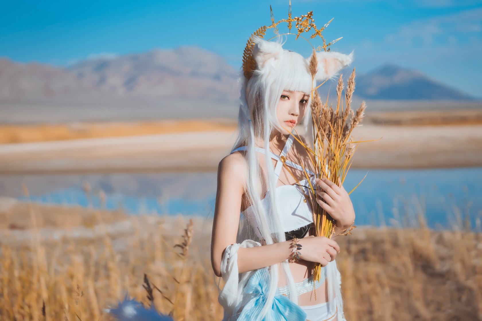 Peach Meow - Ark of Tomorrow Platinum [Cantong Sun DW DEW SD05]