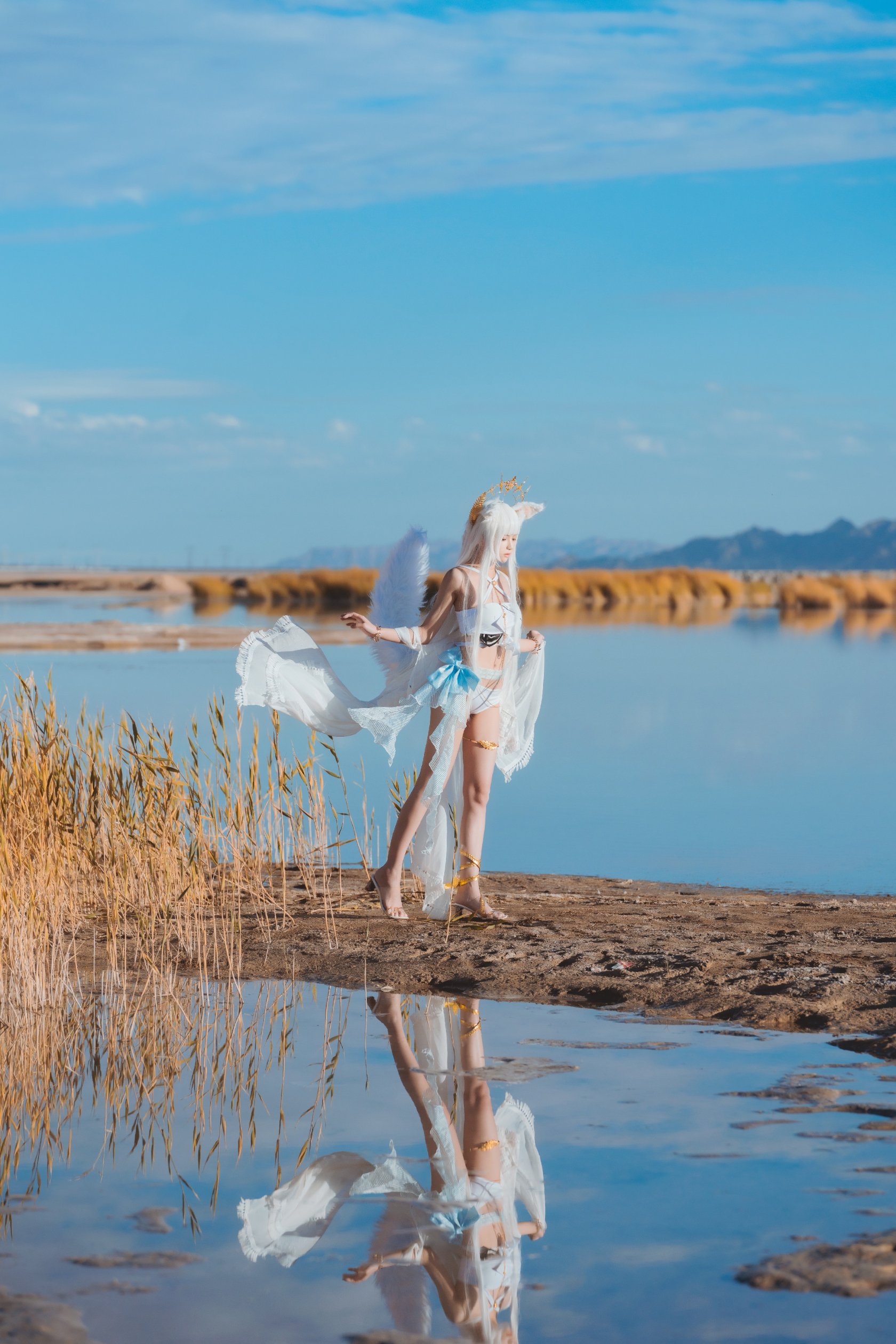 Peach Meow - Ark of Tomorrow Platinum [Cantong Sun DW DEW SD05]