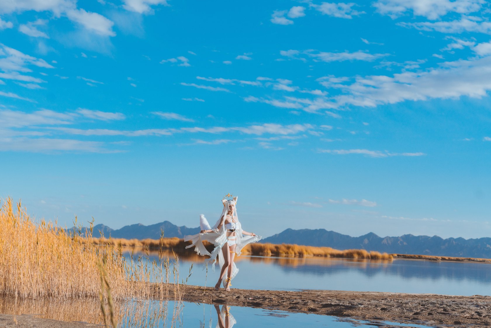 Peach Meow - Ark of Tomorrow Platinum [Cantong Sun DW DEW SD05]