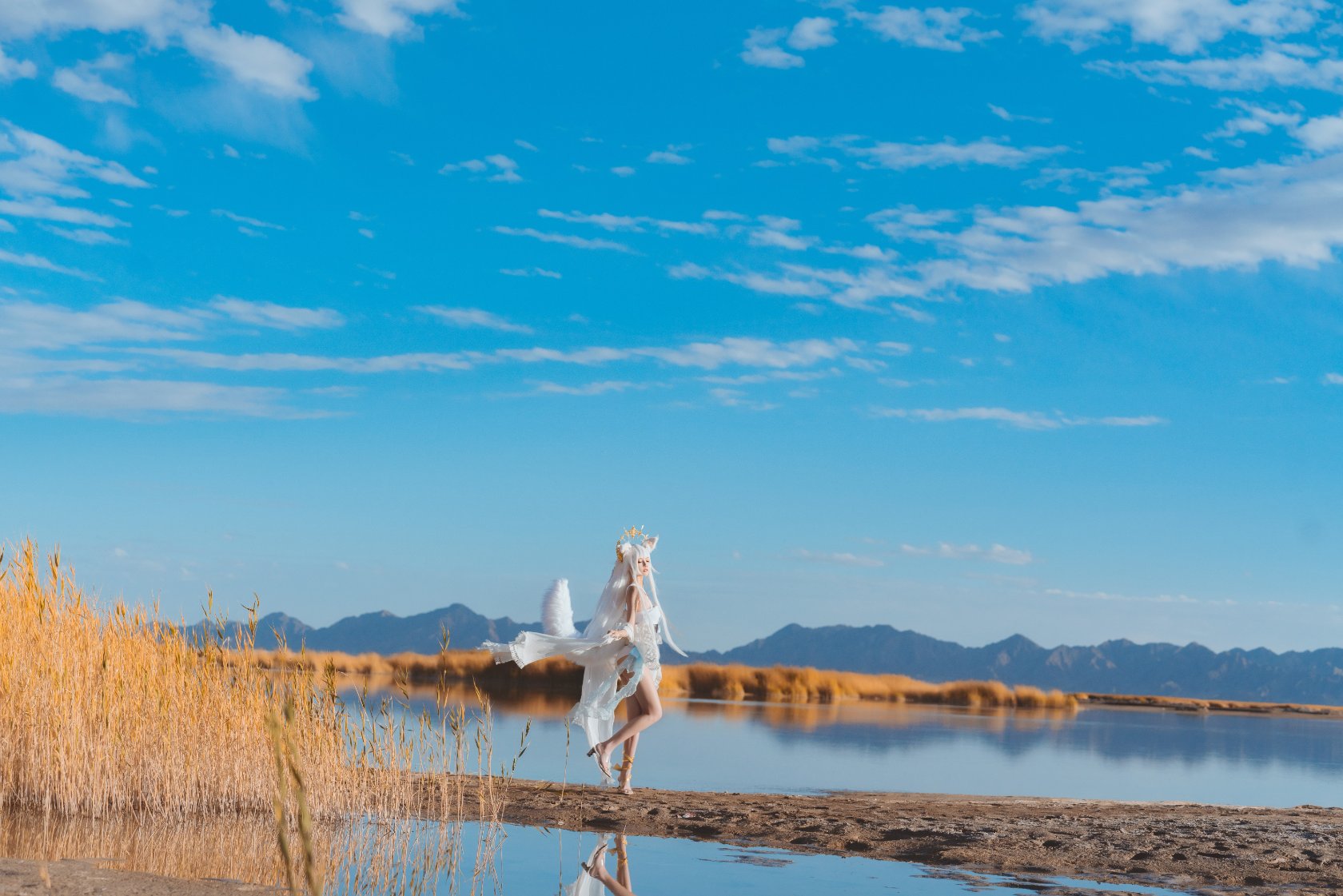 Peach Meow - Ark of Tomorrow Platinum [Cantong Sun DW DEW SD05]