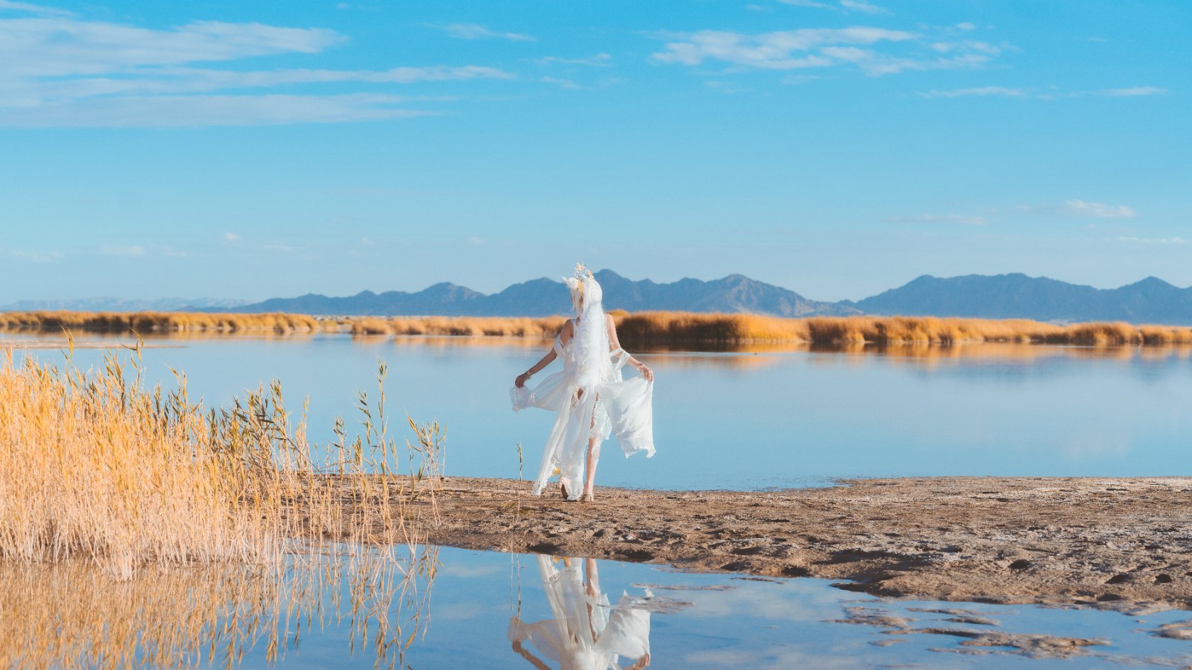 Peach Meow - Ark of Tomorrow Platinum [Cantong Sun DW DEW SD05]