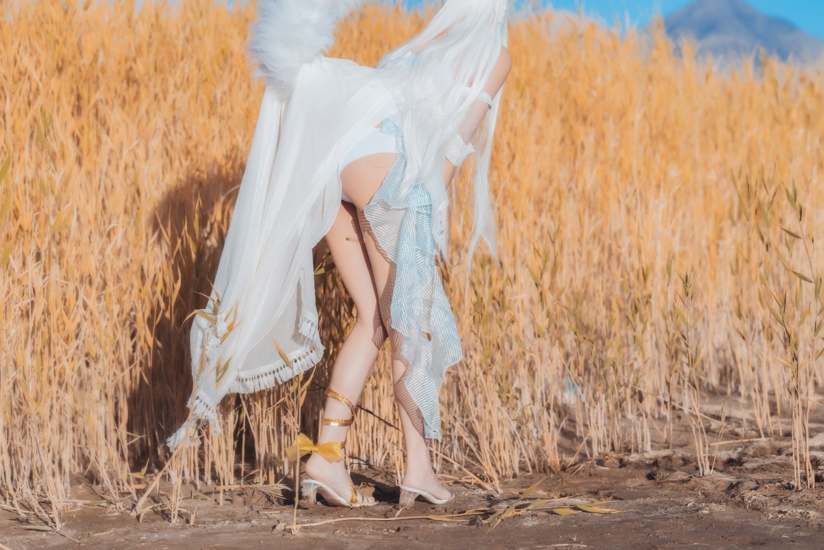 Peach Meow - Ark of Tomorrow Platinum [Cantong Sun DW DEW SD05]