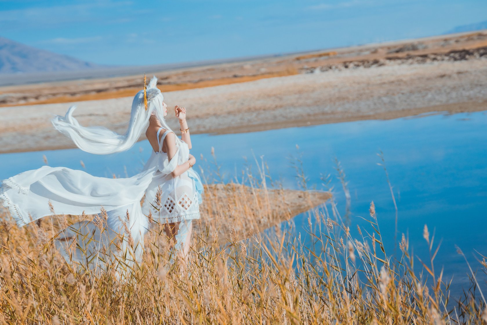 Peach Meow - Ark of Tomorrow Platinum [Cantong Sun DW DEW SD05]