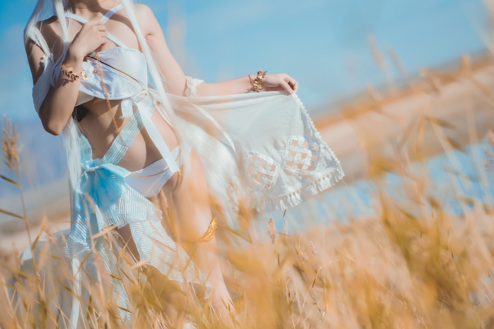 Peach Meow - Ark of Tomorrow Platinum [Cantong Sun DW DEW SD05]