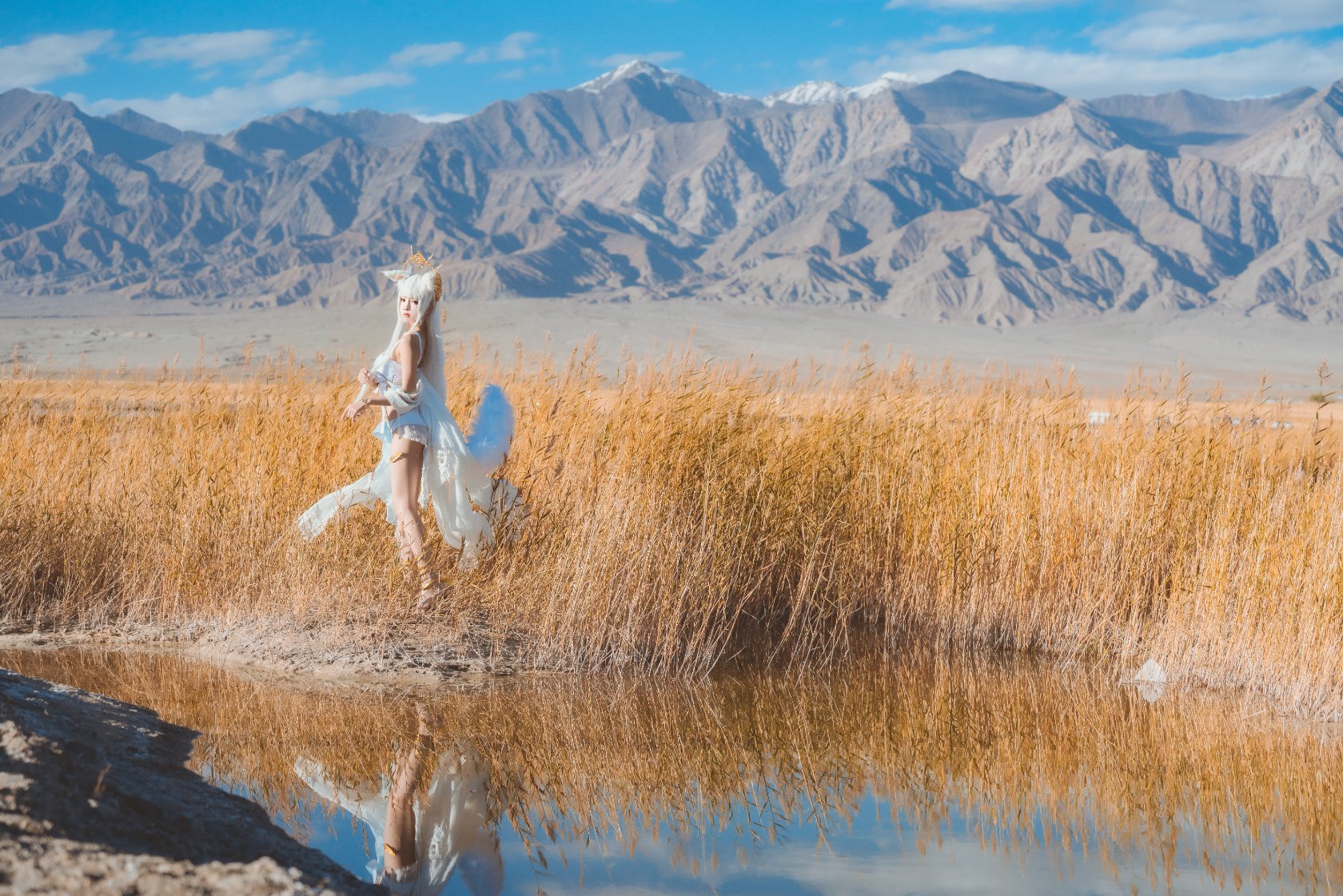 Peach Meow - Ark of Tomorrow Platinum [Cantong Sun DW DEW SD05]