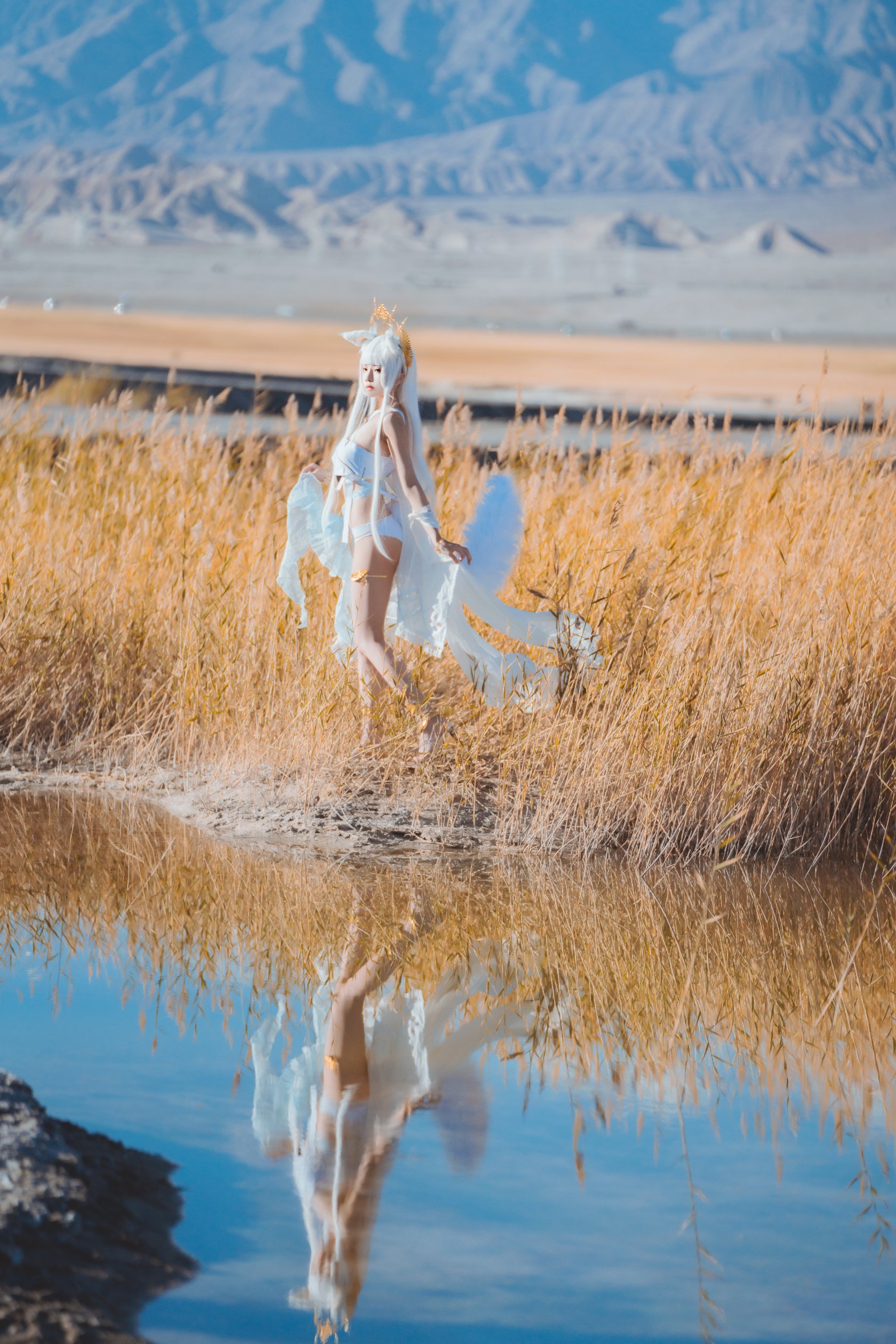 Peach Meow - Ark of Tomorrow Platinum [Cantong Sun DW DEW SD05]