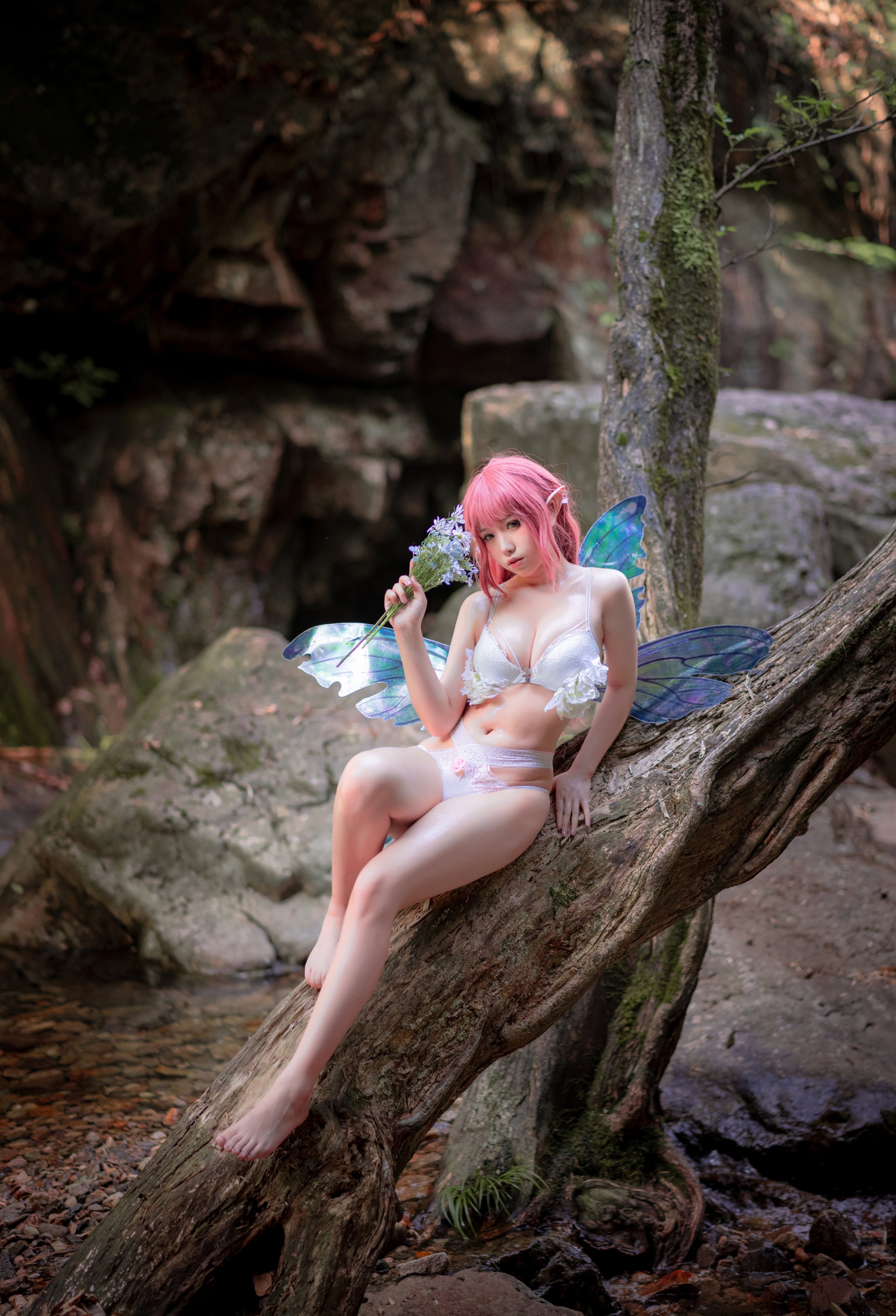 Yibei Yibei - Fairy Fairy + 1V