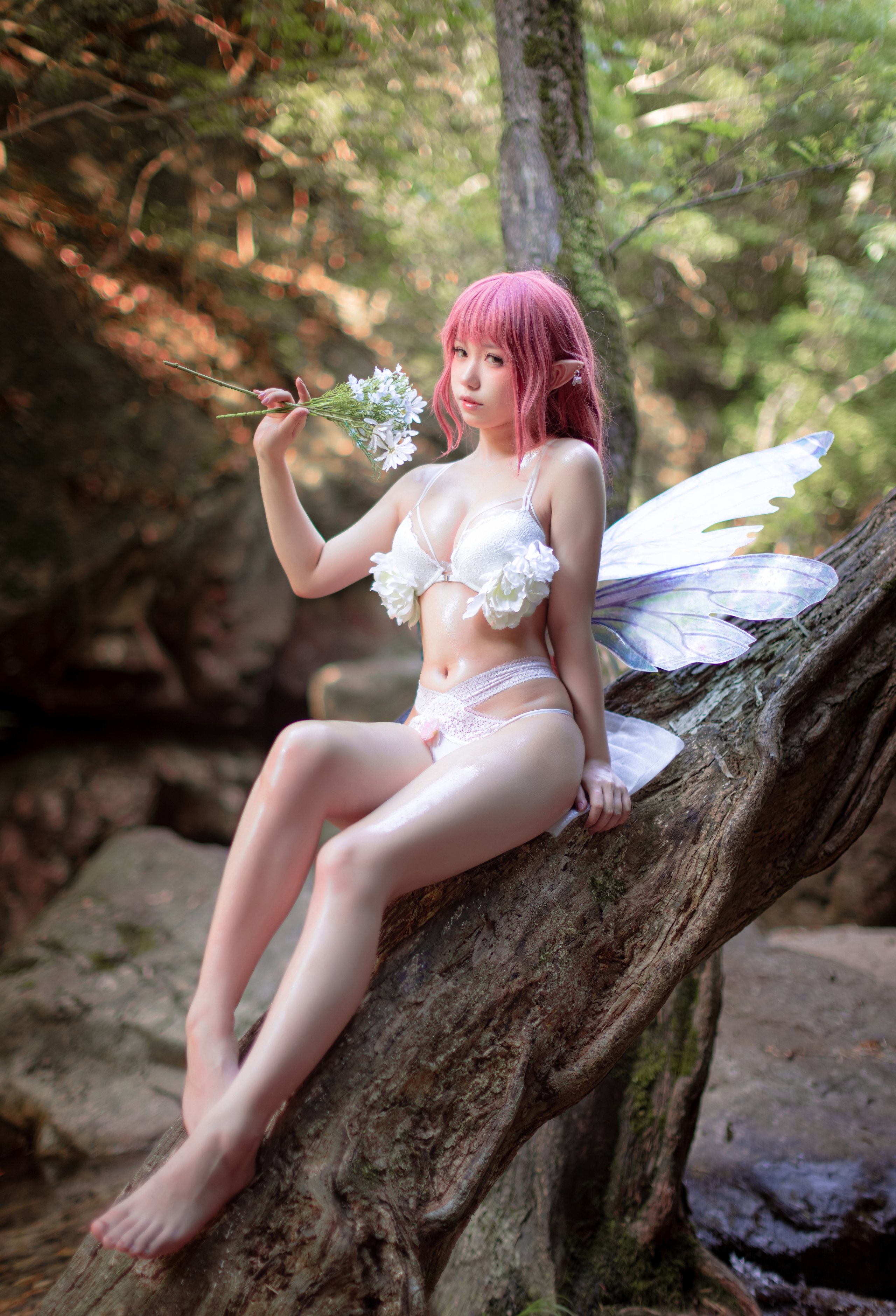 Yibei Yibei - Fairy Fairy + 1V