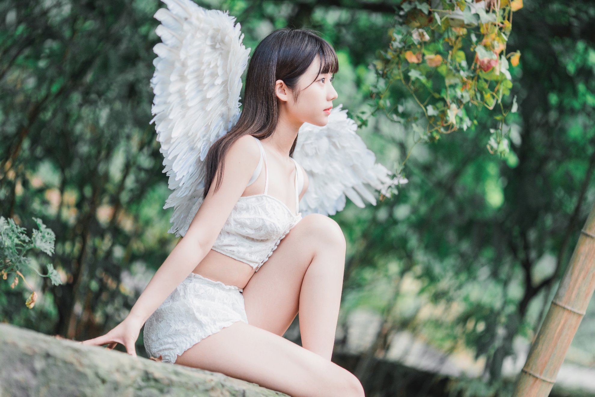 Nước sốt Gương Kagami - Gương mơ