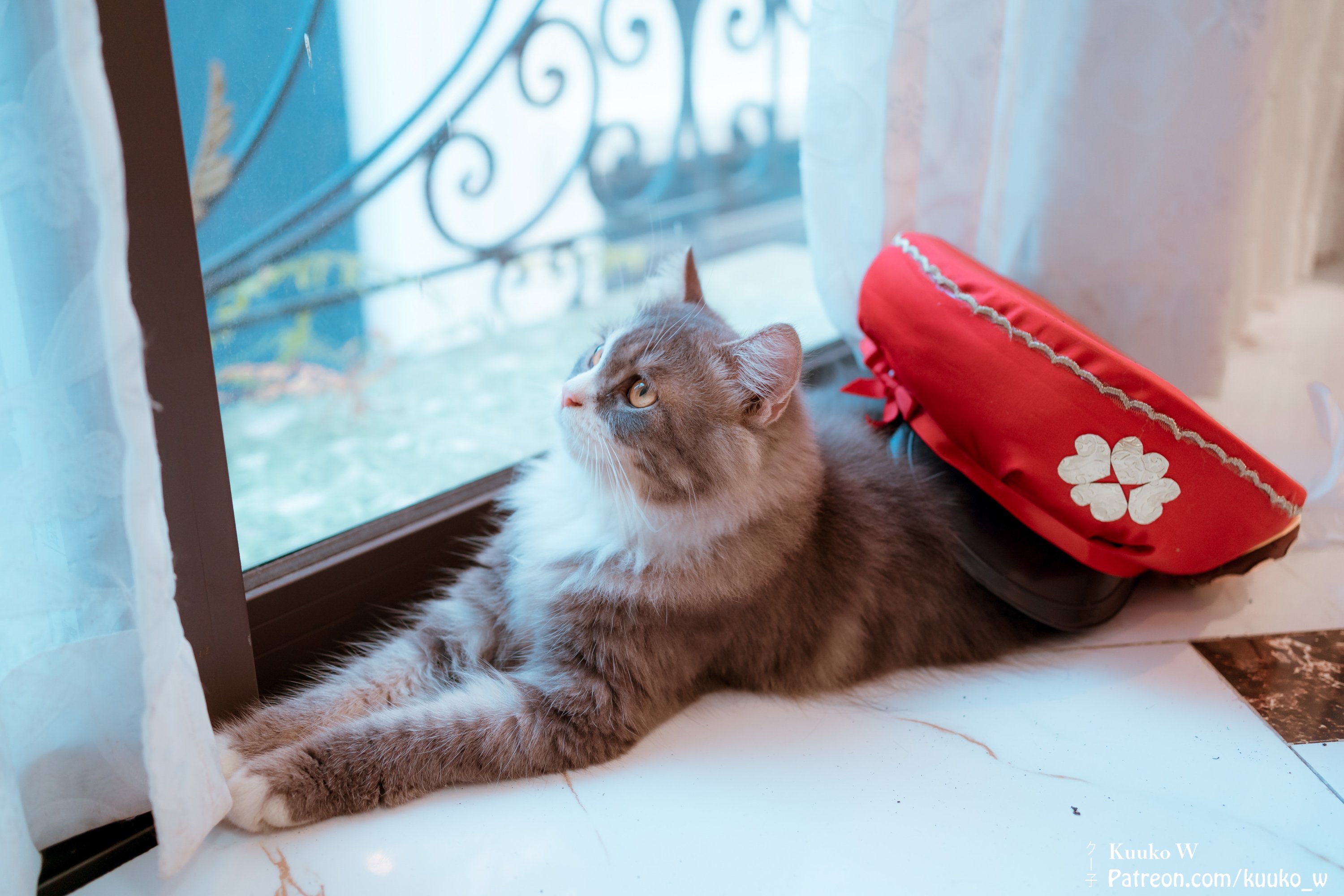 [Kuukow] Kari (Genshin)