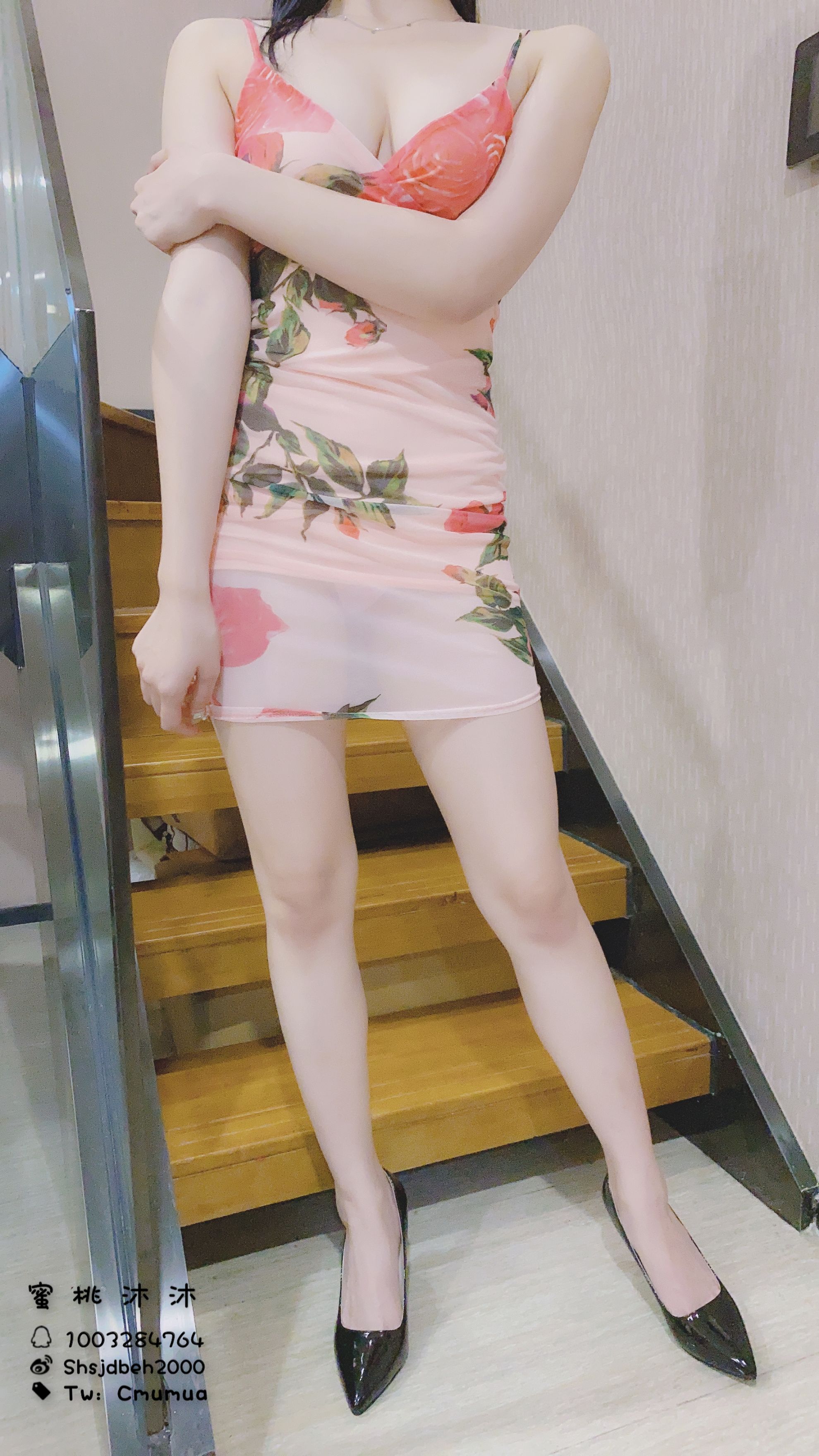 [Tao Xiaomomo Jiang] Cheongsam