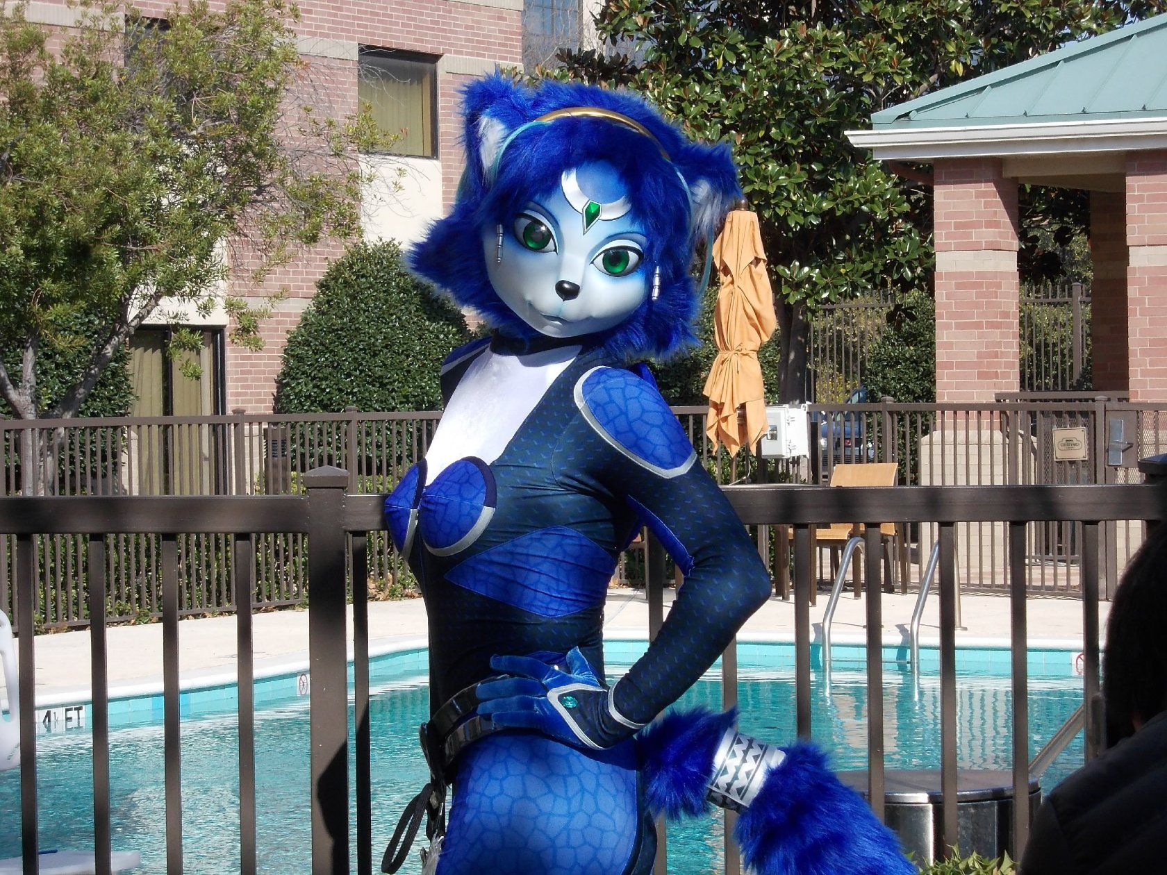 [Ayano Harumaki] Krystal từ Star Fox