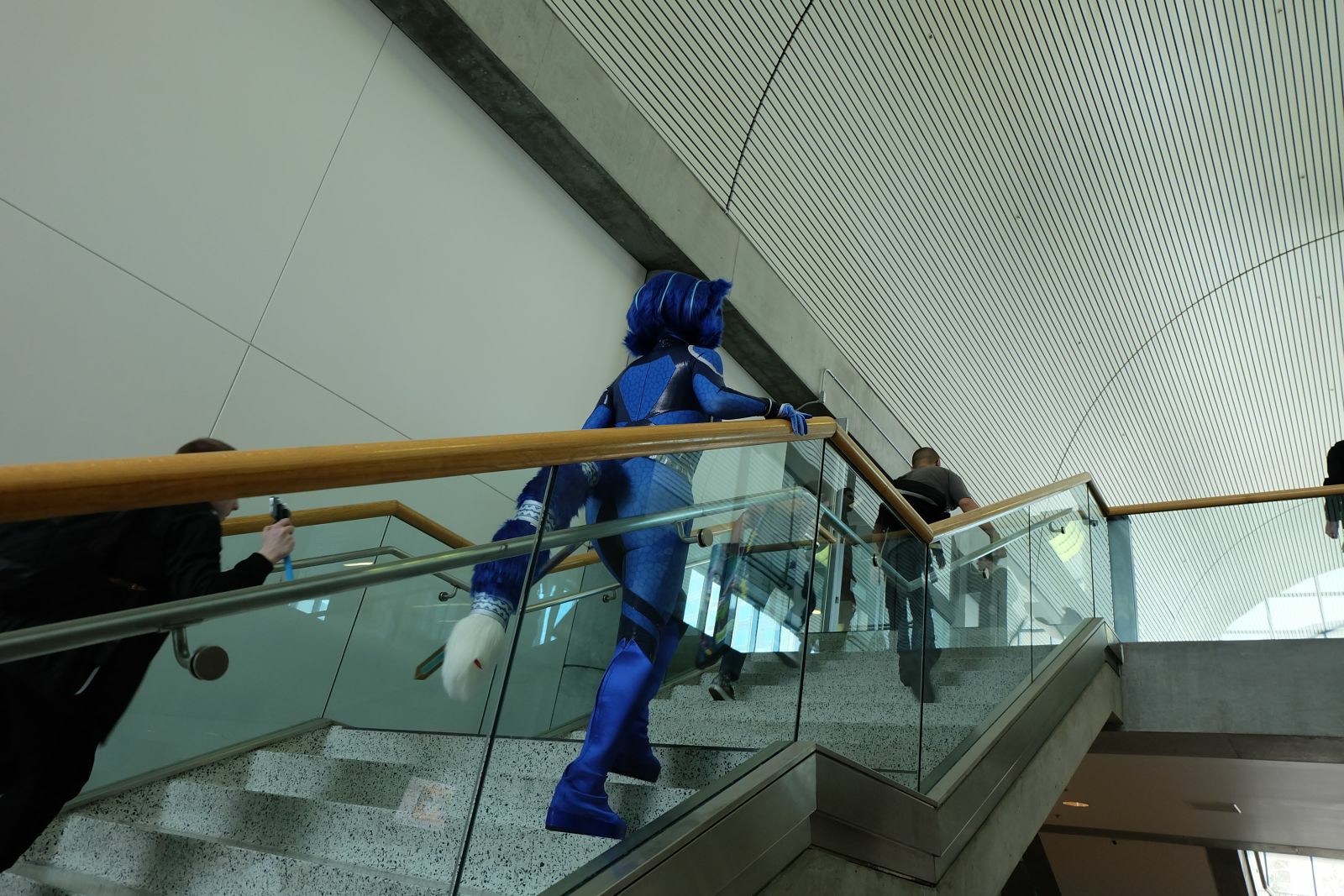 [Ayano Harumaki] Krystal từ Star Fox