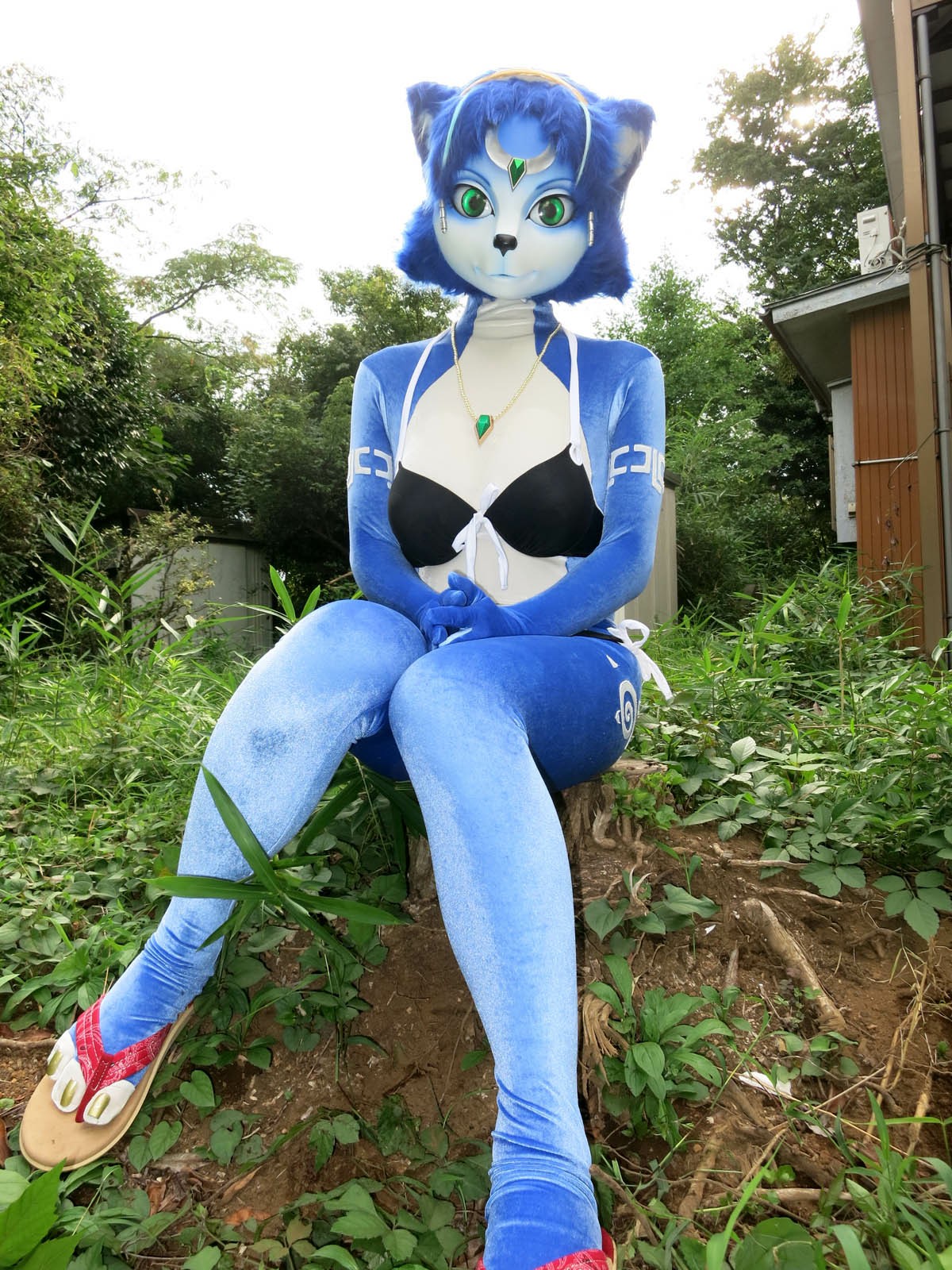 [Ayano Harumaki] Krystal từ Star Fox